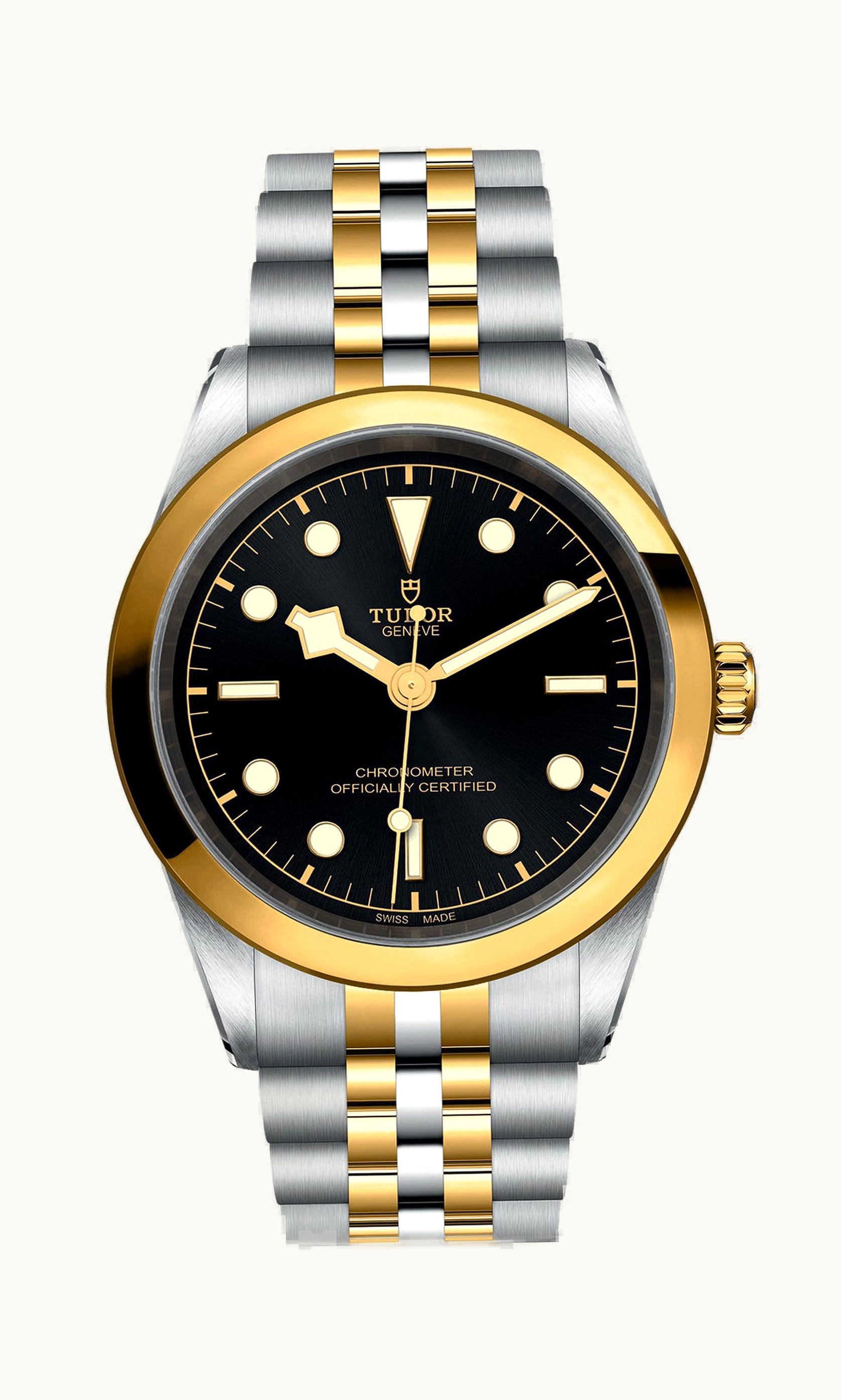 Tudor Black Bay 41 S&G