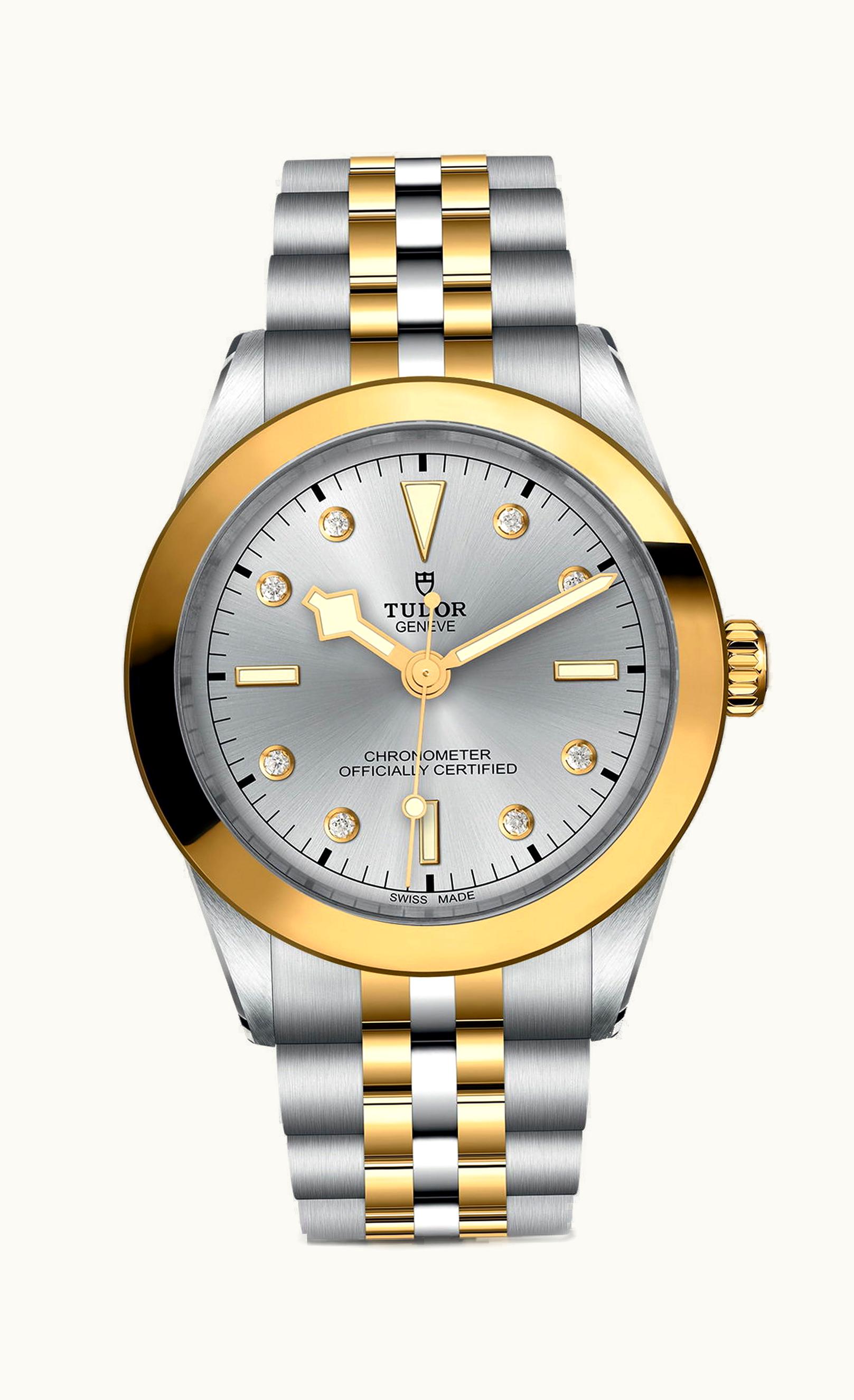 Tudor Black Bay 39 S&G