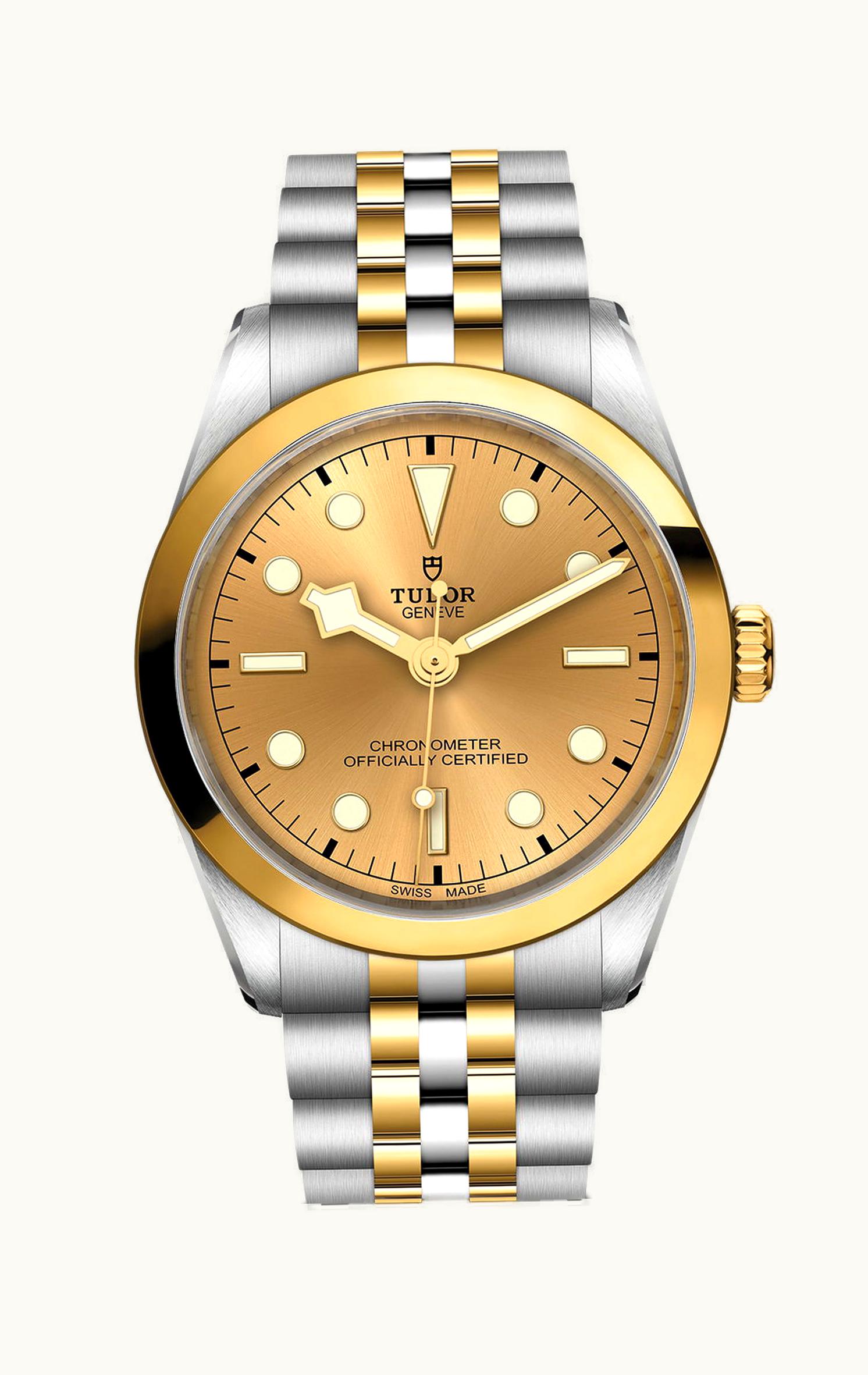 Tudor Black Bay 36 S&G