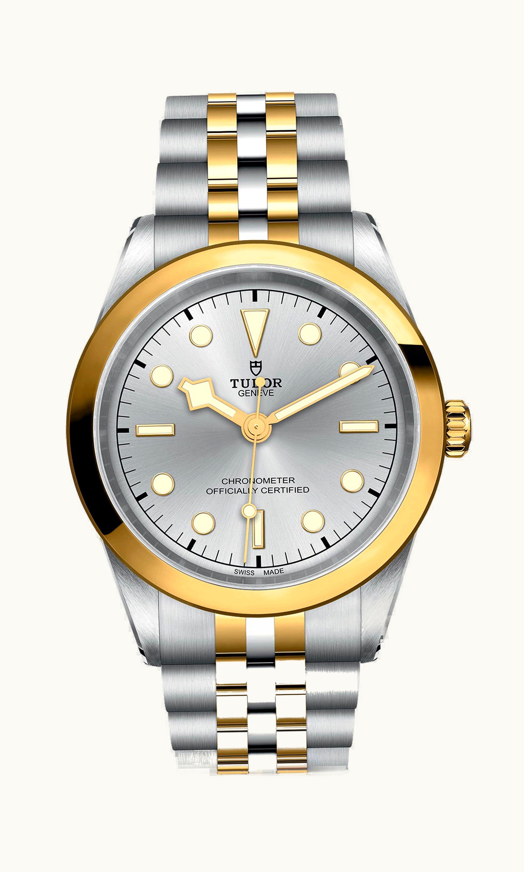 Tudor Black Bay 41 S&G