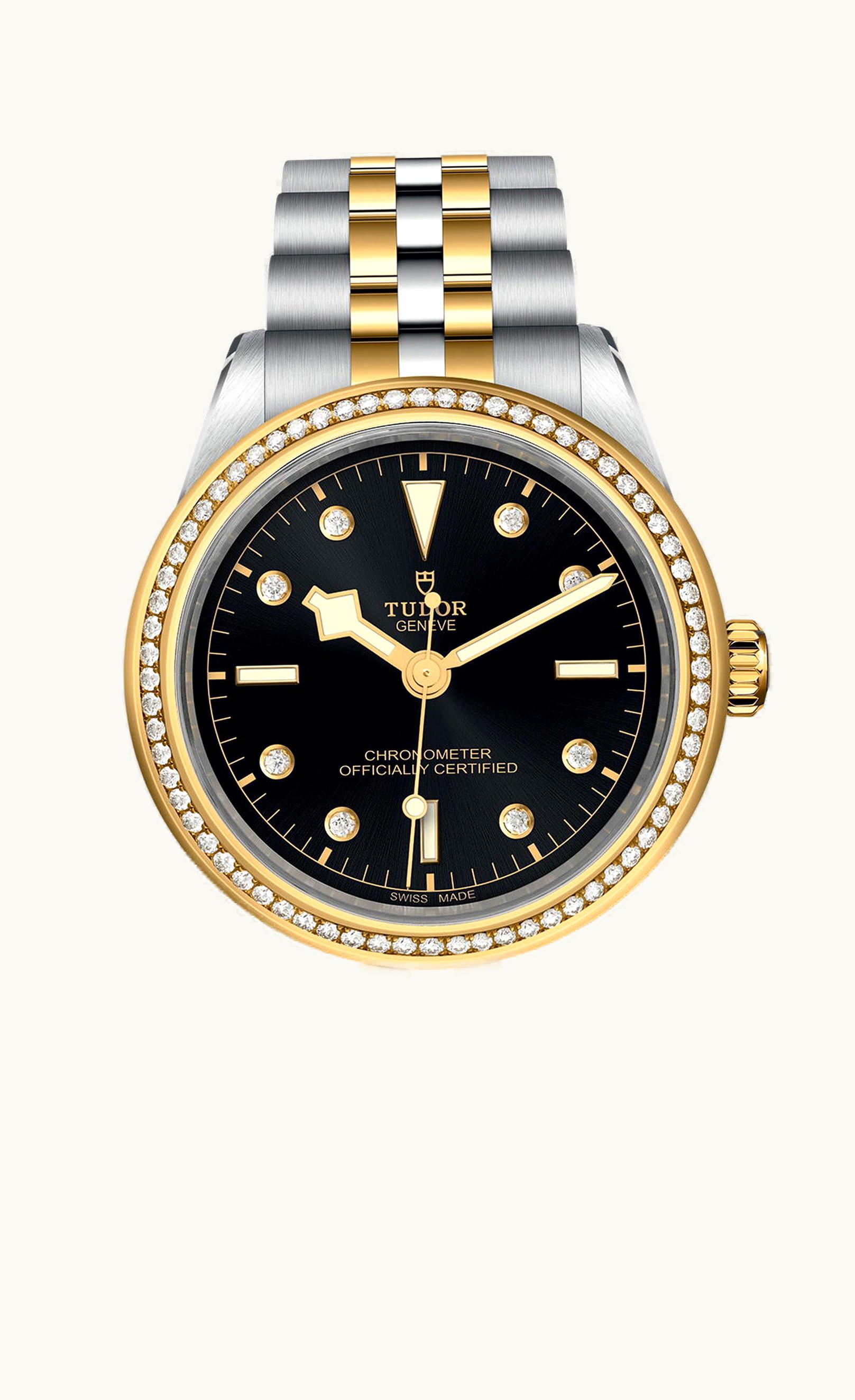 Tudor Black Bay 39 S&G