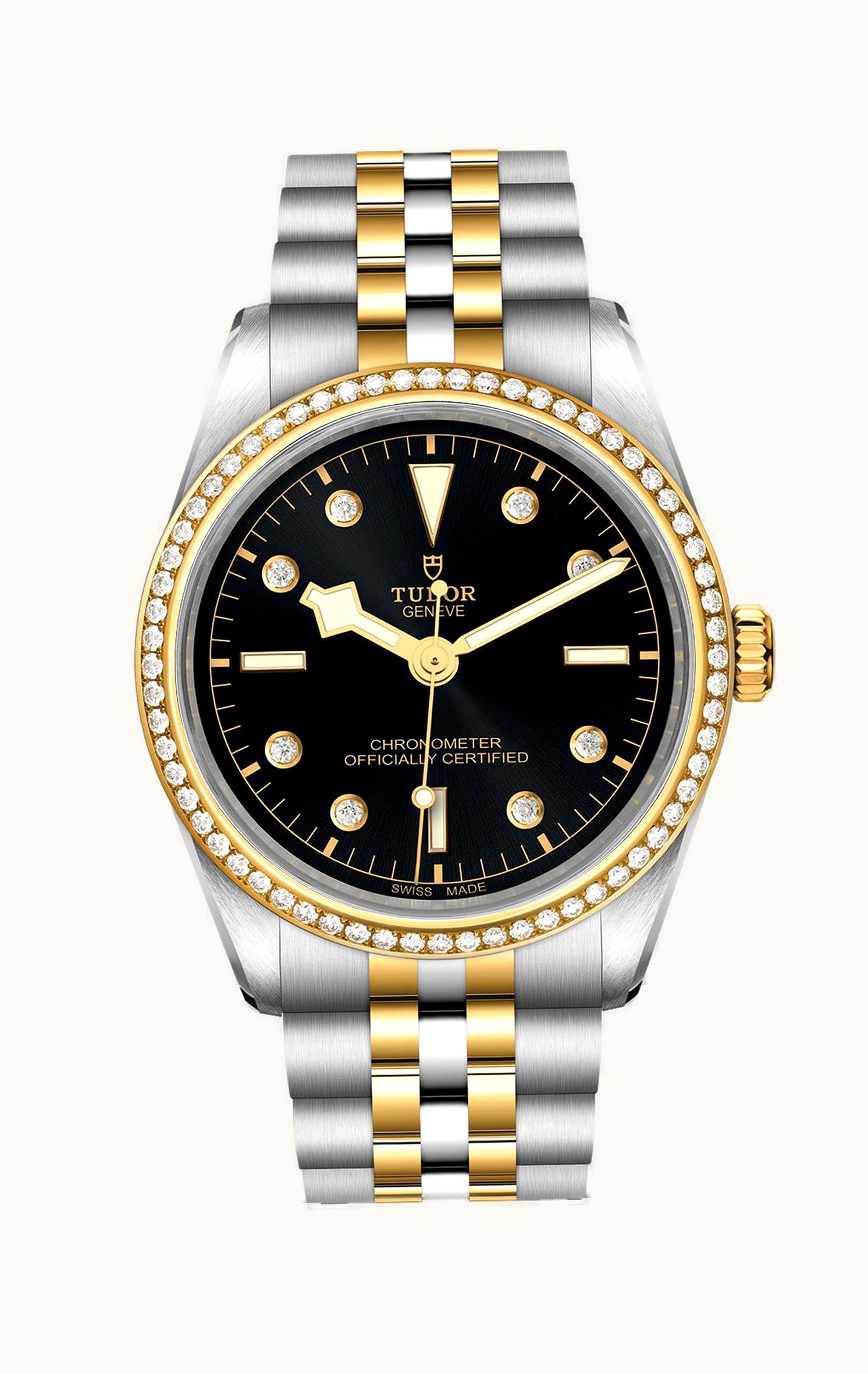 Tudor Black Bay 36 S&G