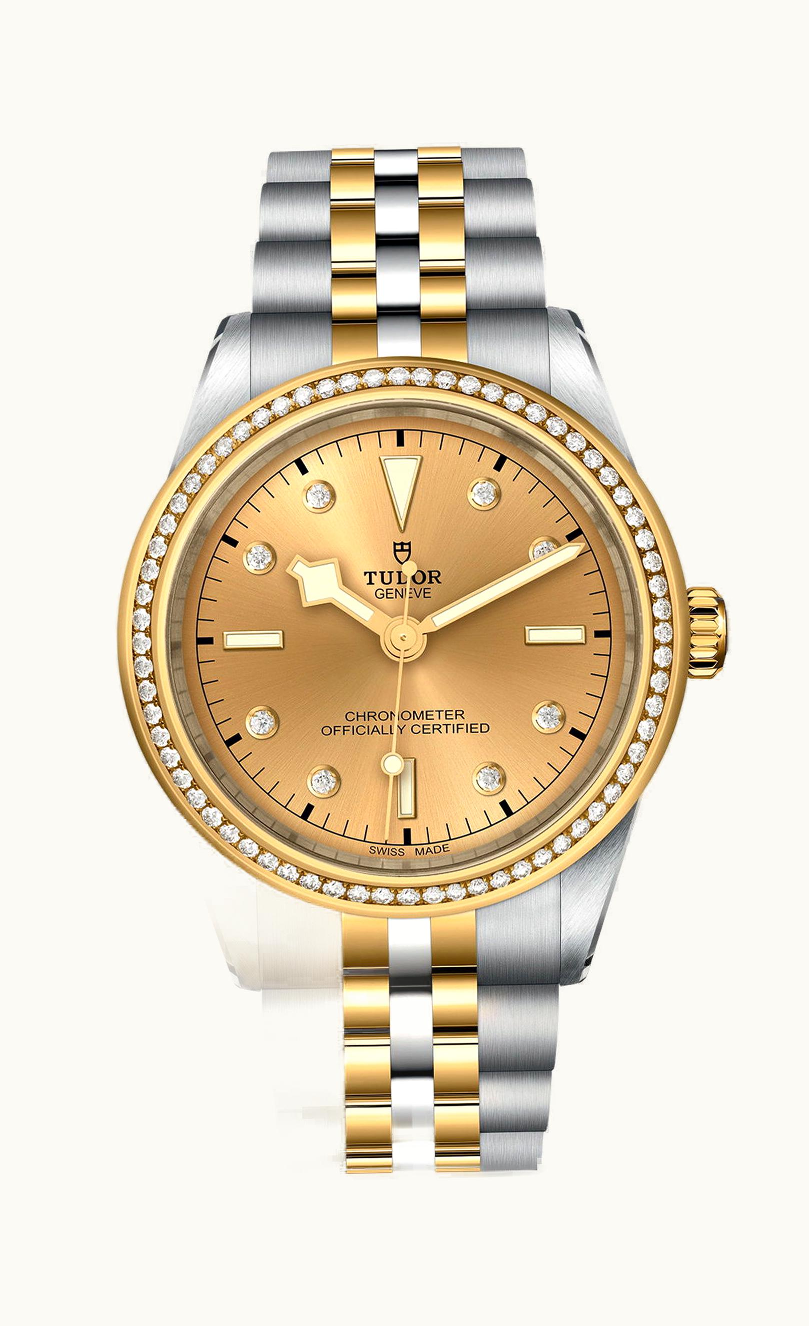Tudor Black Bay 39 S&G