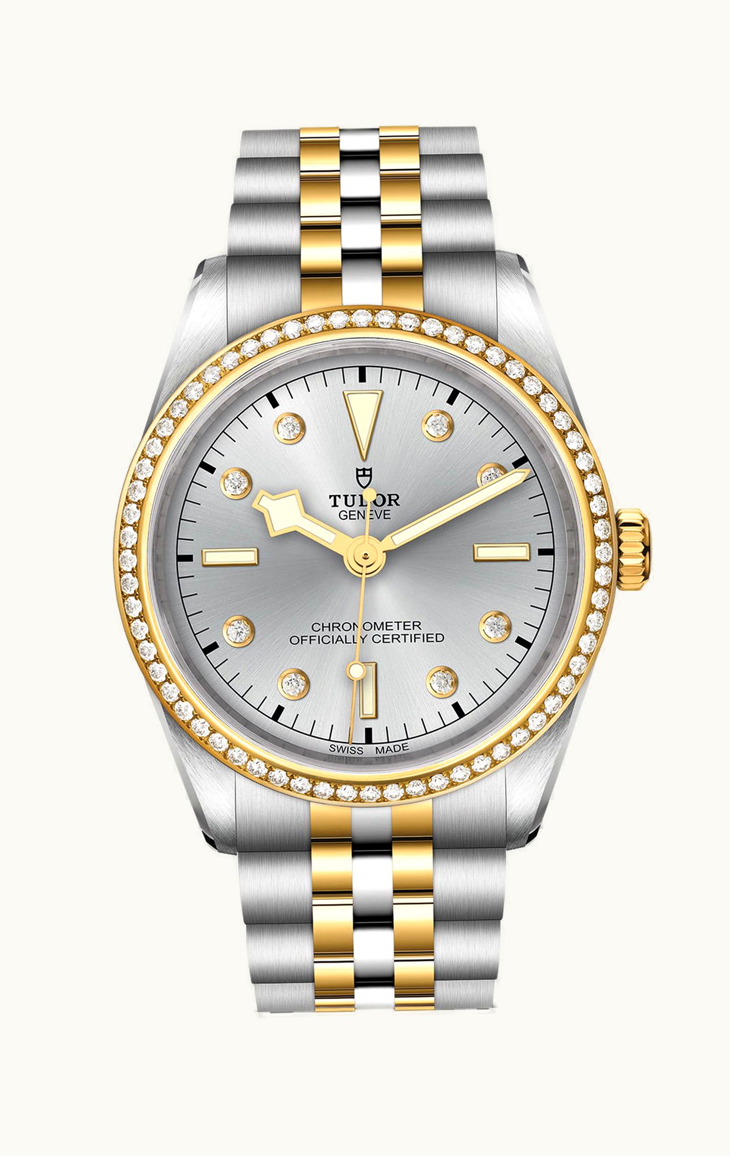 Tudor Black Bay 36 S&G