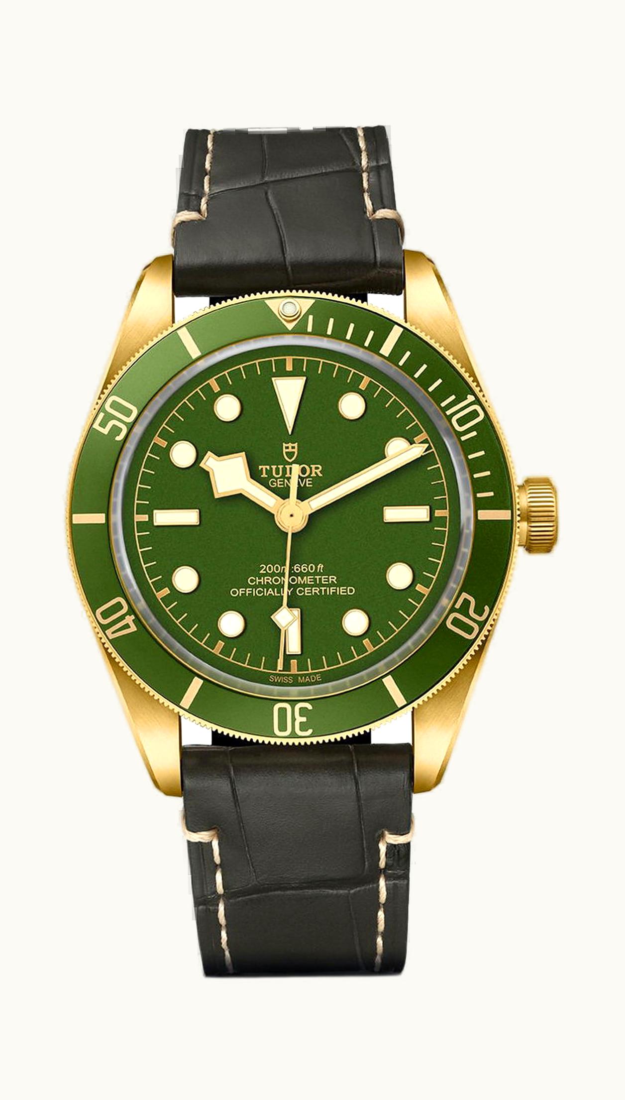 Tudor Black Bay Fifty-Eight 18K