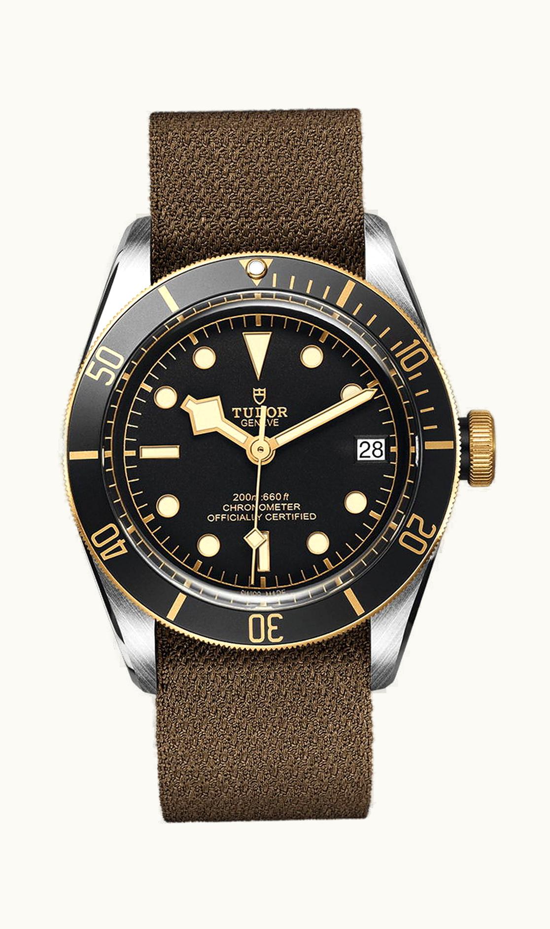 Tudor Black Bay S&G