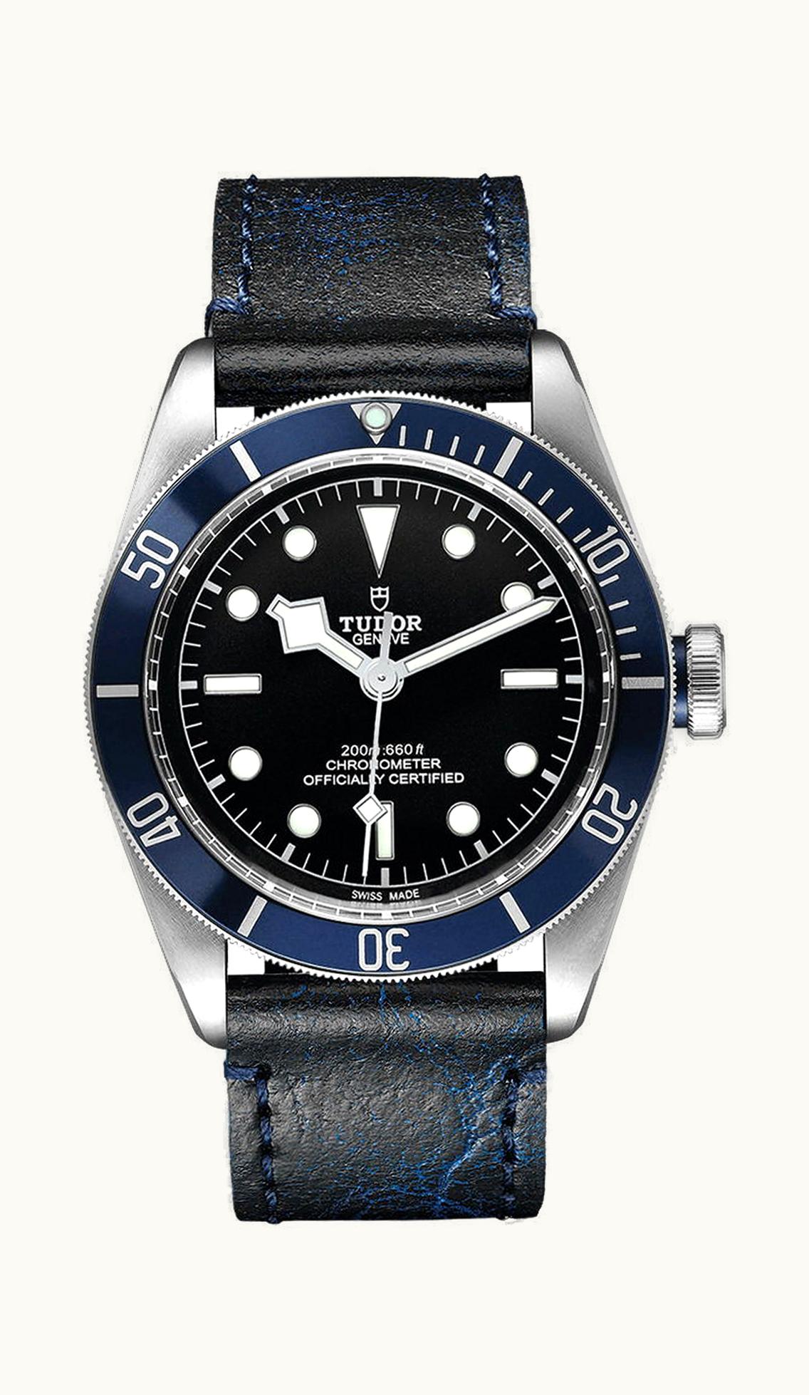 Tudor Black Bay