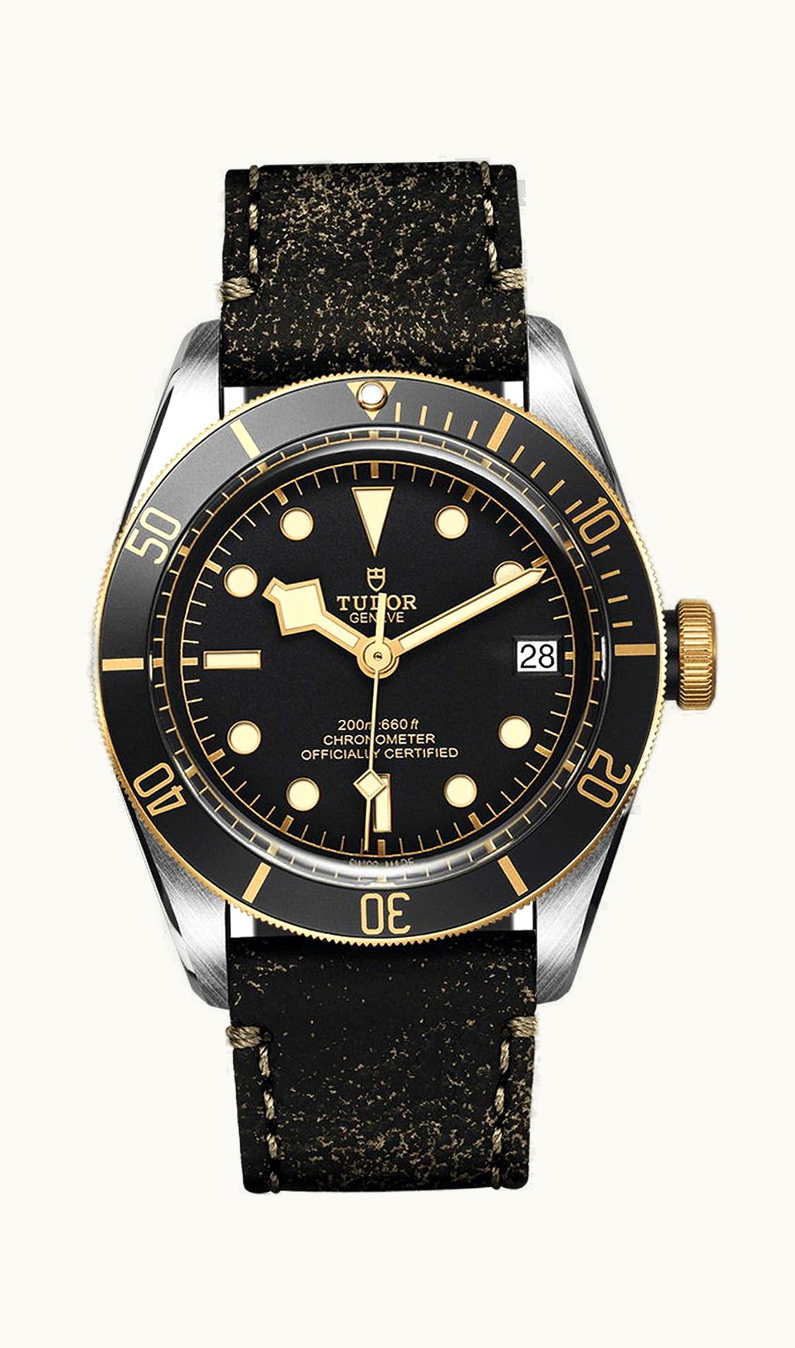 Tudor Black Bay S&G