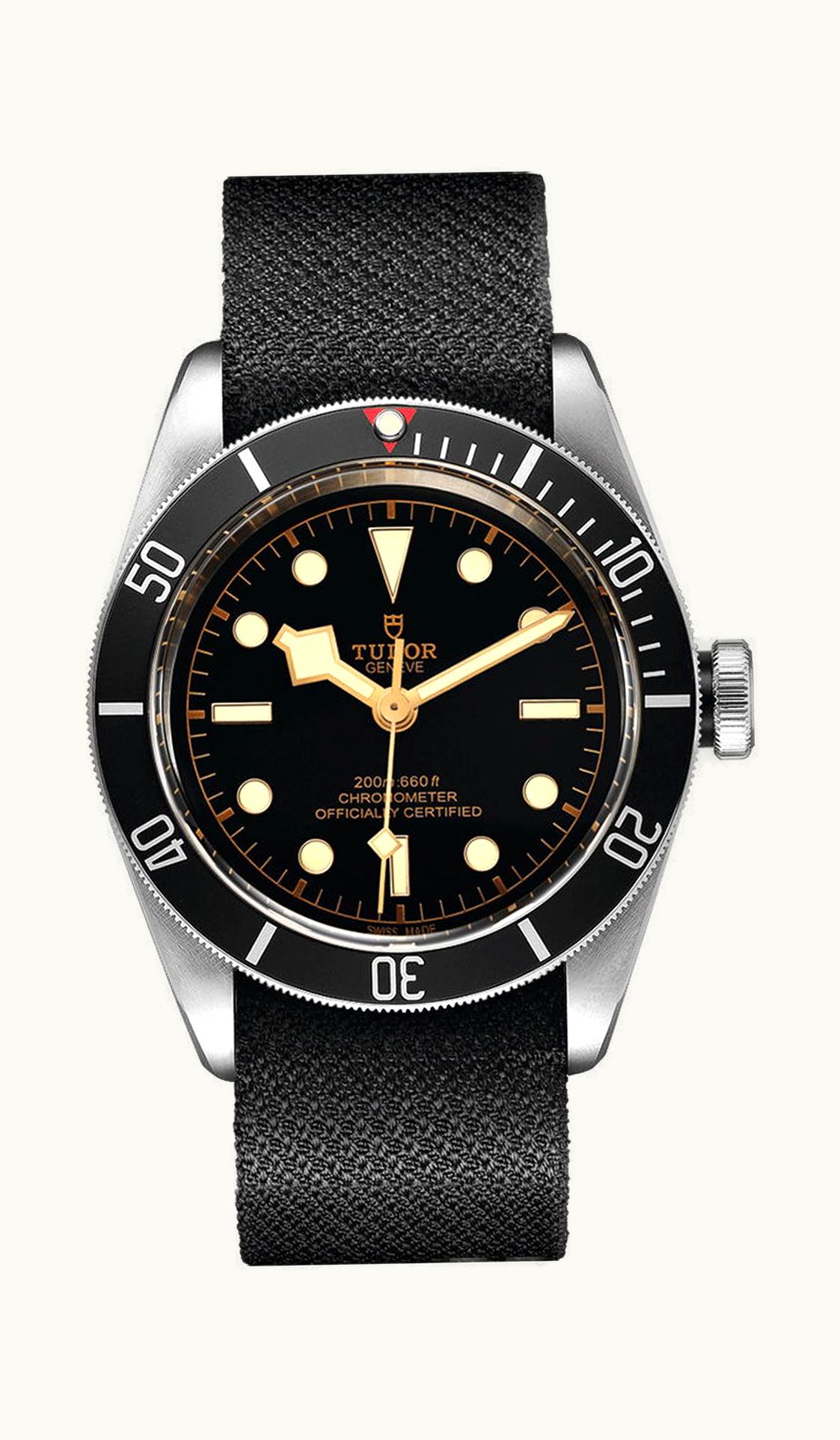 Tudor Black Bay