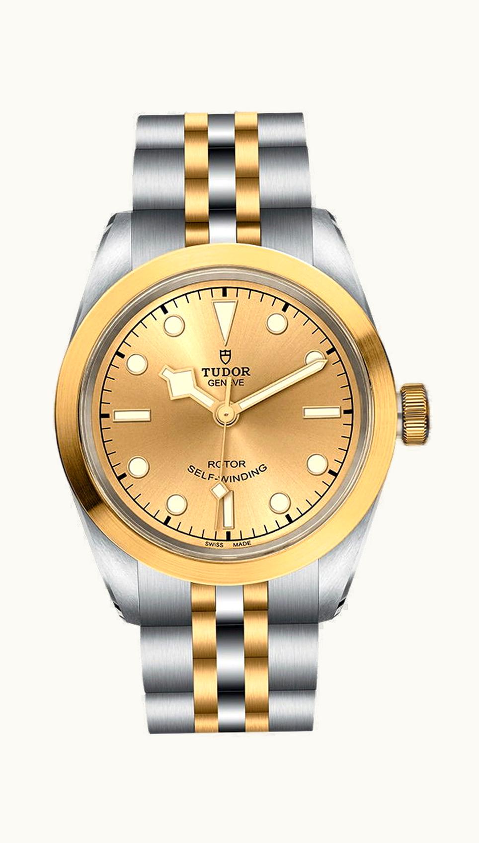 Tudor Black  Bay 32 S&G