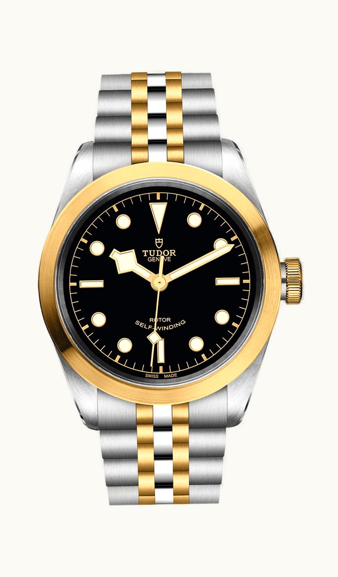 Tudor Black Bay 41 S&G