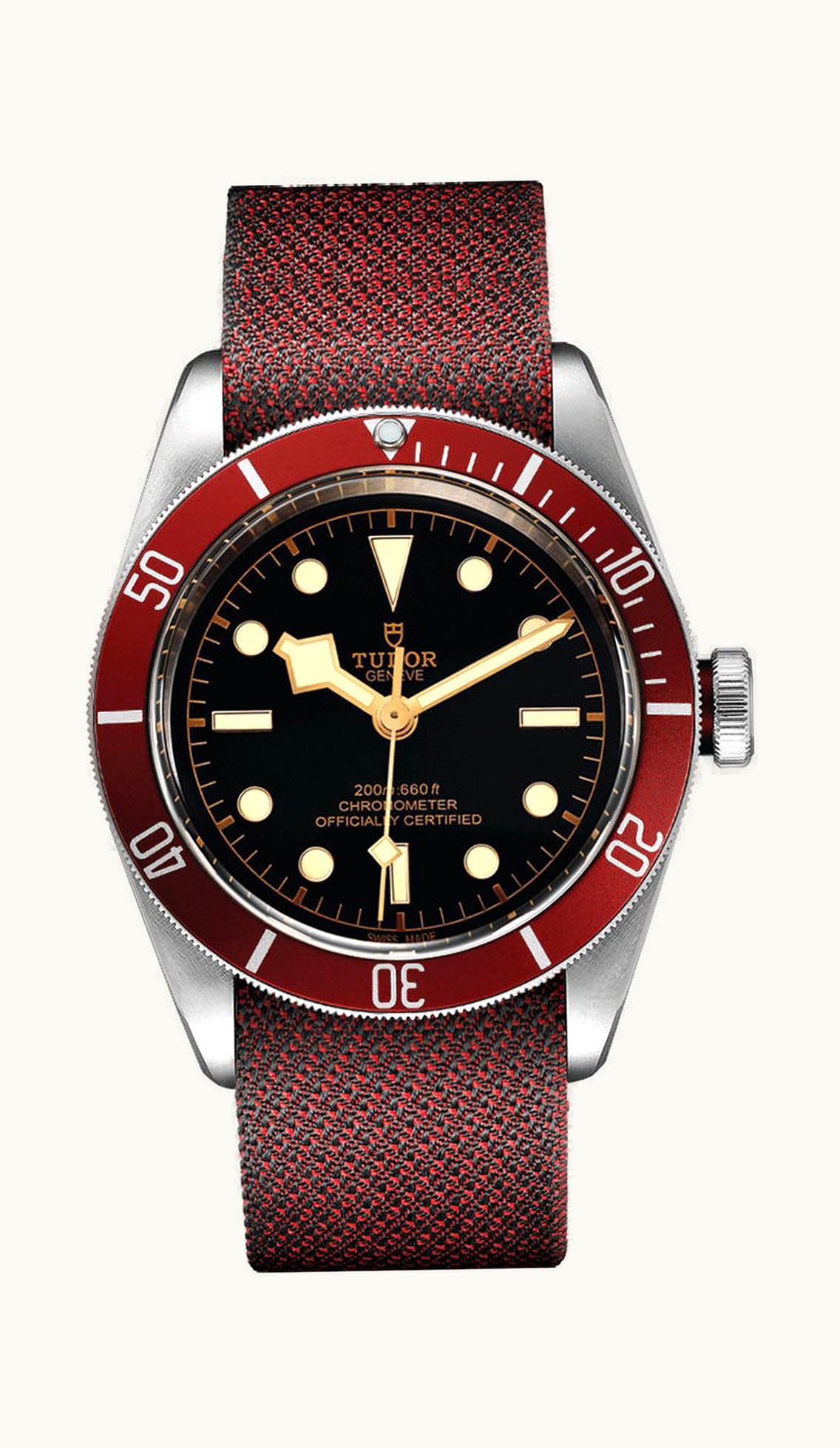 Tudor Black Bay