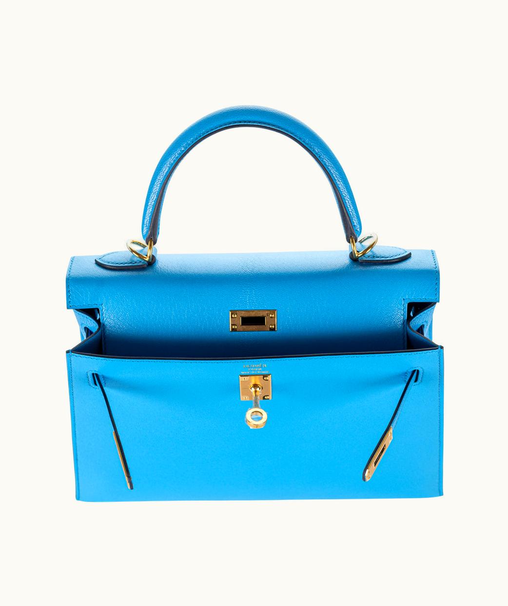 Hermès Hermès Birkin 25cm - Bleu Frida - Clemence - Sellier - Gold (GHW)