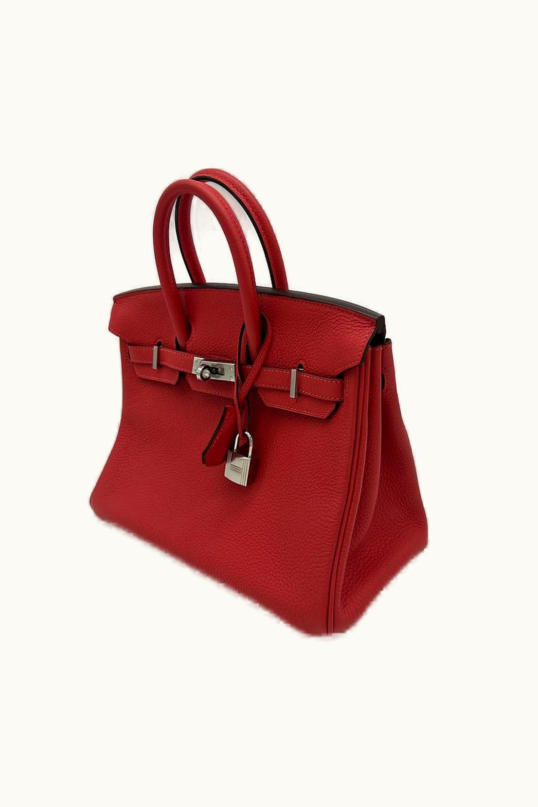 Hermès Hermès Birkin 25cm - Rouge Pivoine - Clemence - Retourne - Palladium (PHW)