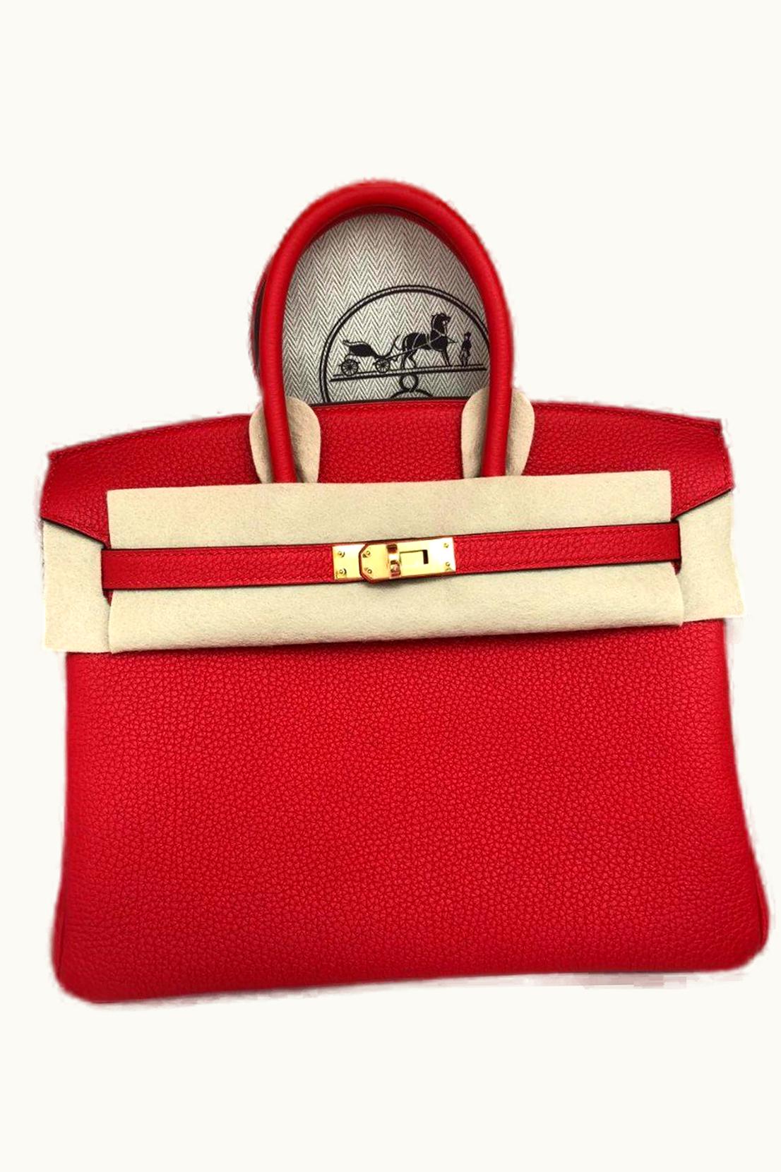 Hermès Hermès Birkin 25cm - Rouge Vif - Togo - Retourne - Gold (GHW)