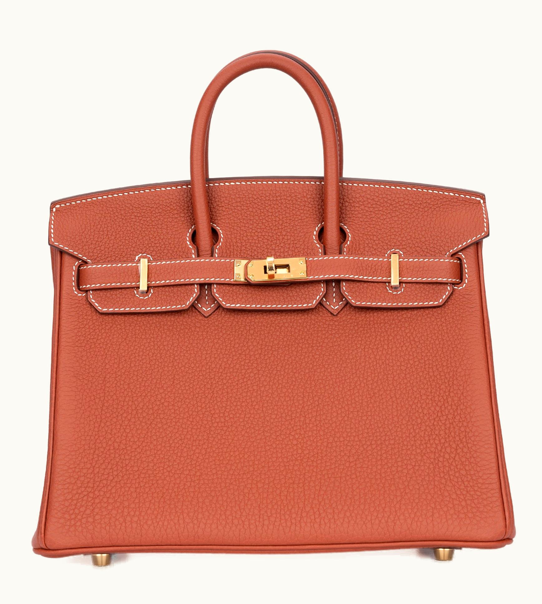 Hermès Hermès Birkin 25cm - Sienne - Epsom - Retourne - Palladium (PHW)