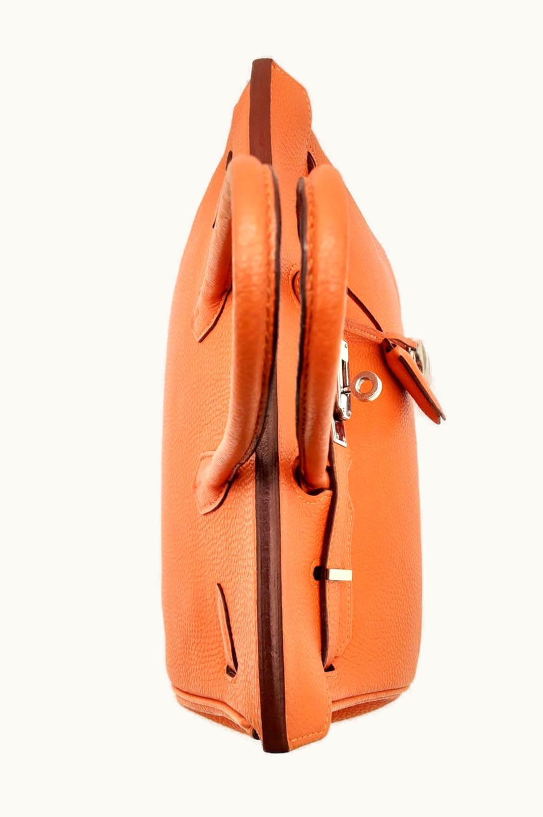 Hermès Hermès Birkin 25cm - Potiron - Clemence - Retourne - Palladium (PHW)