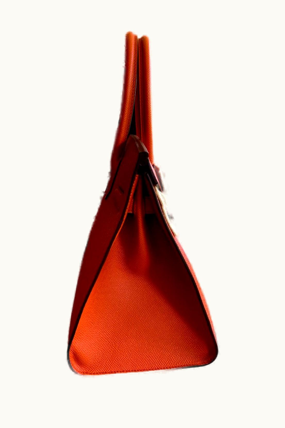 Hermès Hermès Birkin 25cm - Terre Battue - Clemence - Sellier - Gold (GHW)