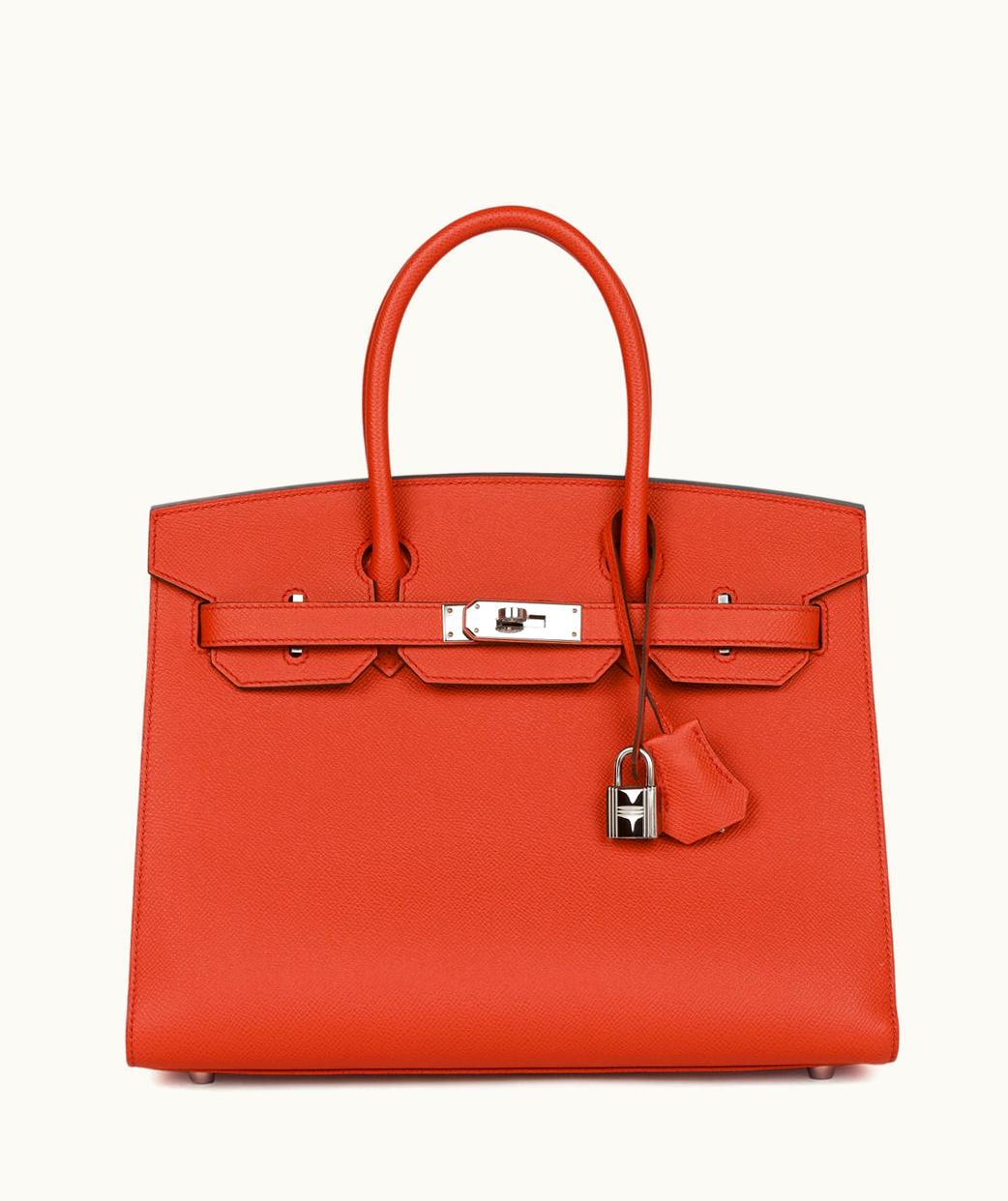 Hermès Hermès Birkin 25cm - Terre Battue - Clemence - Sellier - Palladium (PHW)