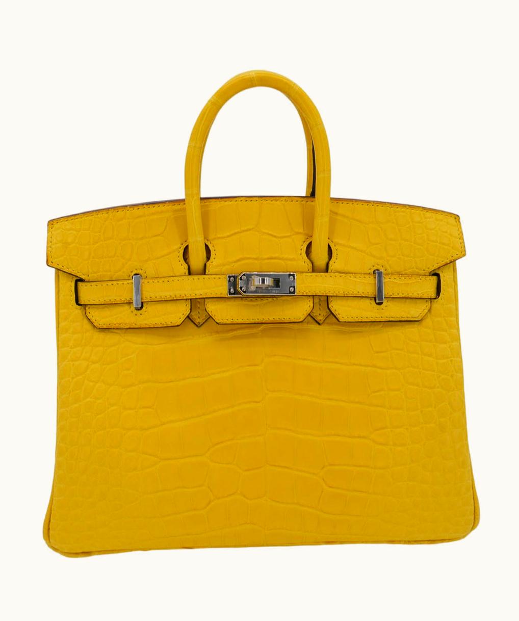 Hermès Hermès Birkin 25cm - Mimosa - Togo - Retourne - Palladium (PHW)