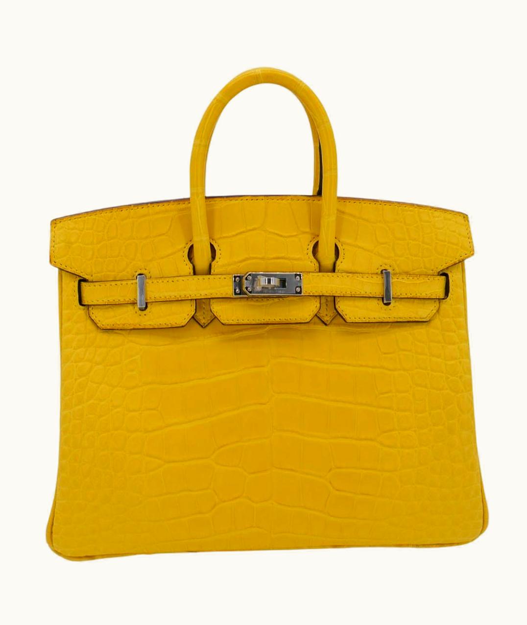 Hermès Hermès Birkin 25cm - Mimosa - Togo - Sellier - Palladium (PHW)