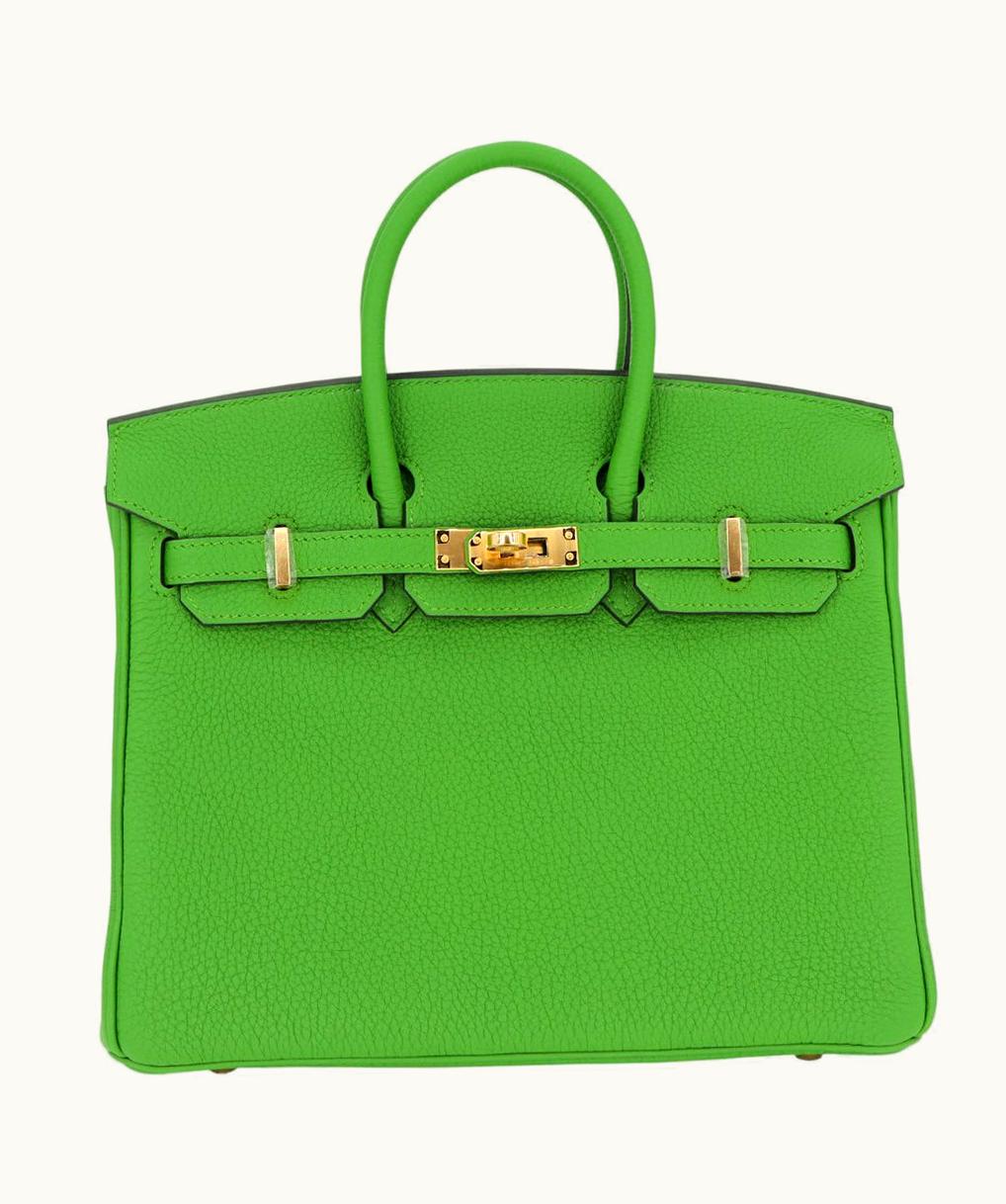 Hermès Hermès Birkin 25cm - Vert Yucca - Epsom - Retourne - Gold (GHW)