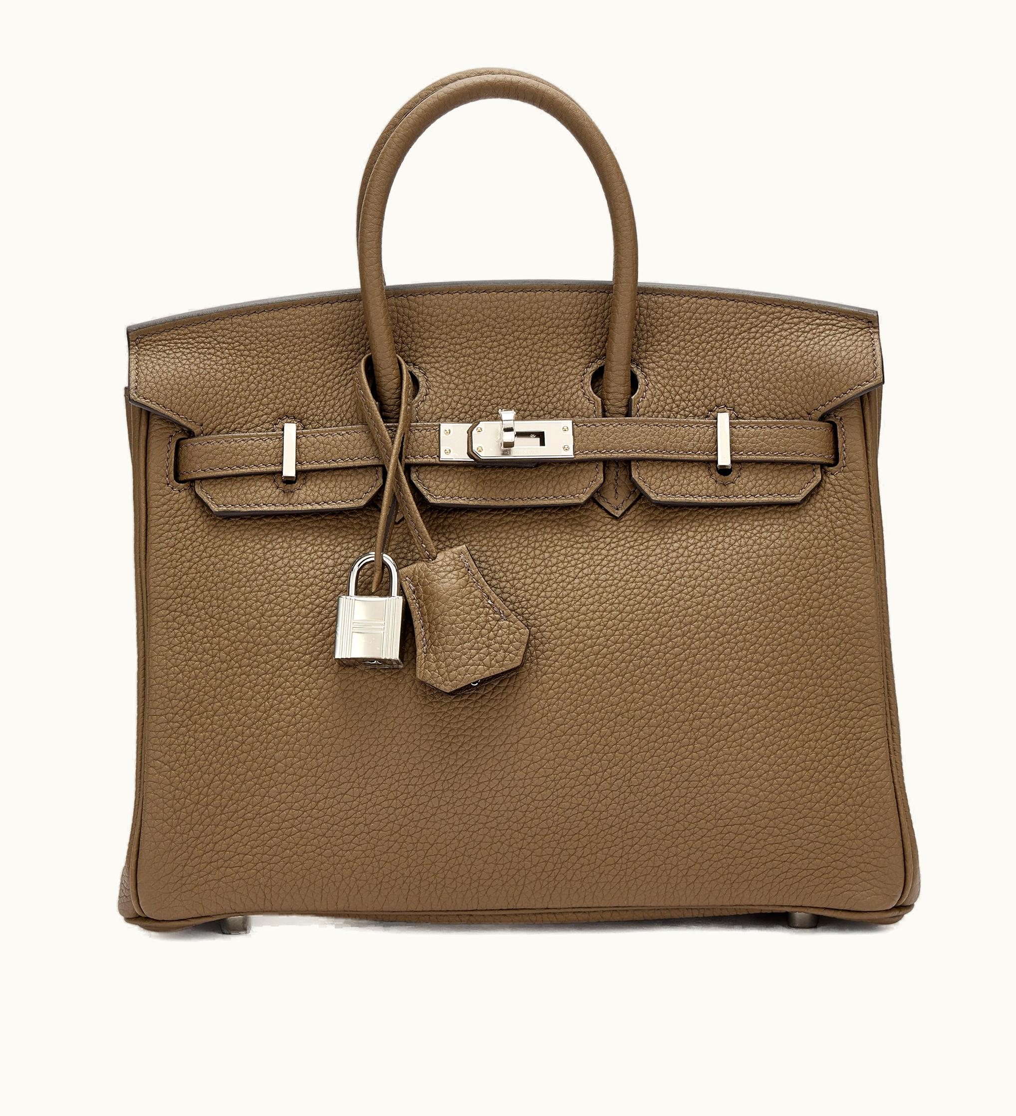 Hermès Hermès Birkin 25cm - Toundra - Epsom - Retourne - Palladium (PHW)