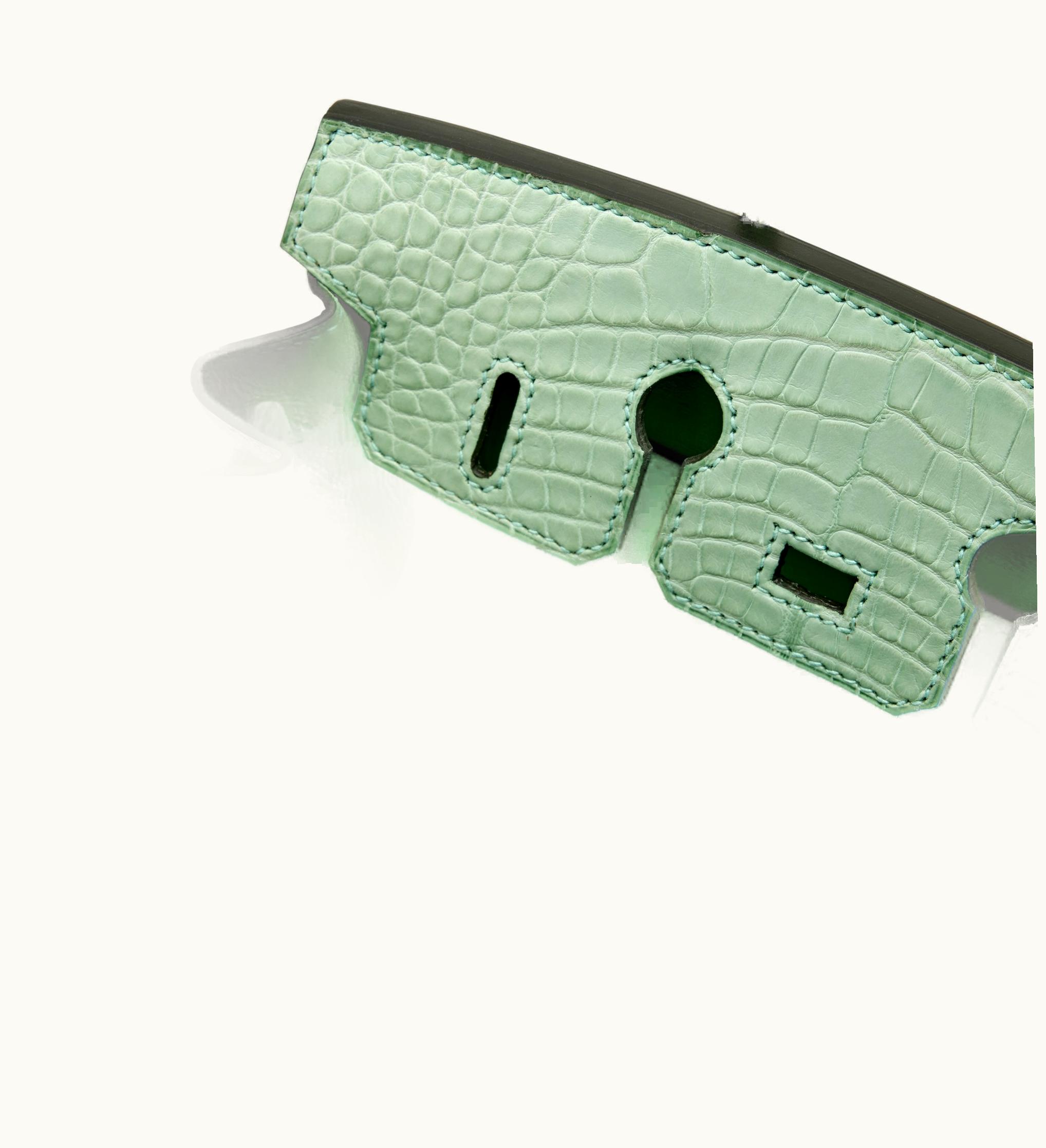 Hermès Hermès Birkin 25cm - Vert d'Eau - Epsom - Sellier - Gold (GHW)