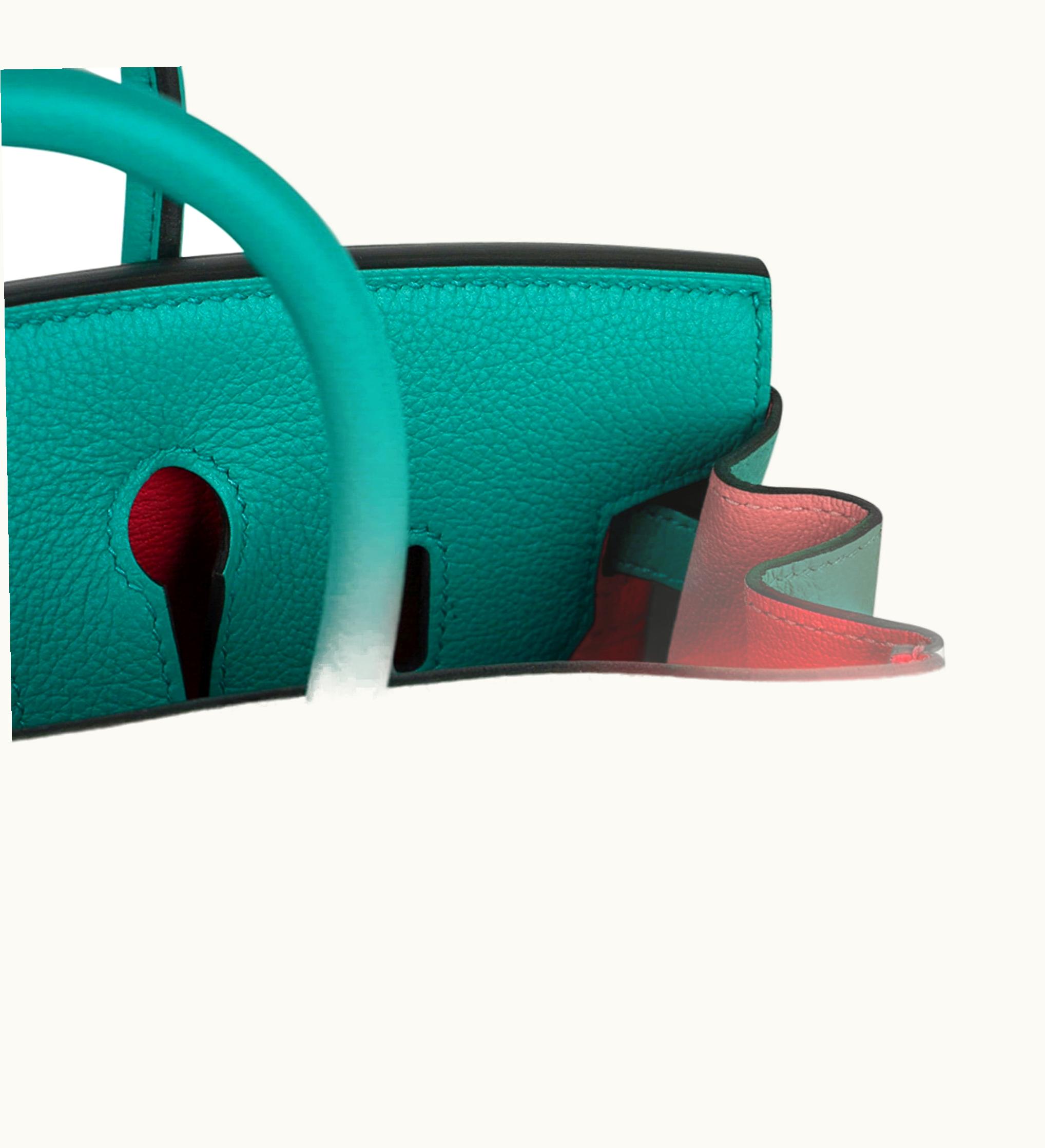 Hermès Hermès Birkin 25cm - Rose Lipstick - Clemence - Sellier - Palladium (PHW)