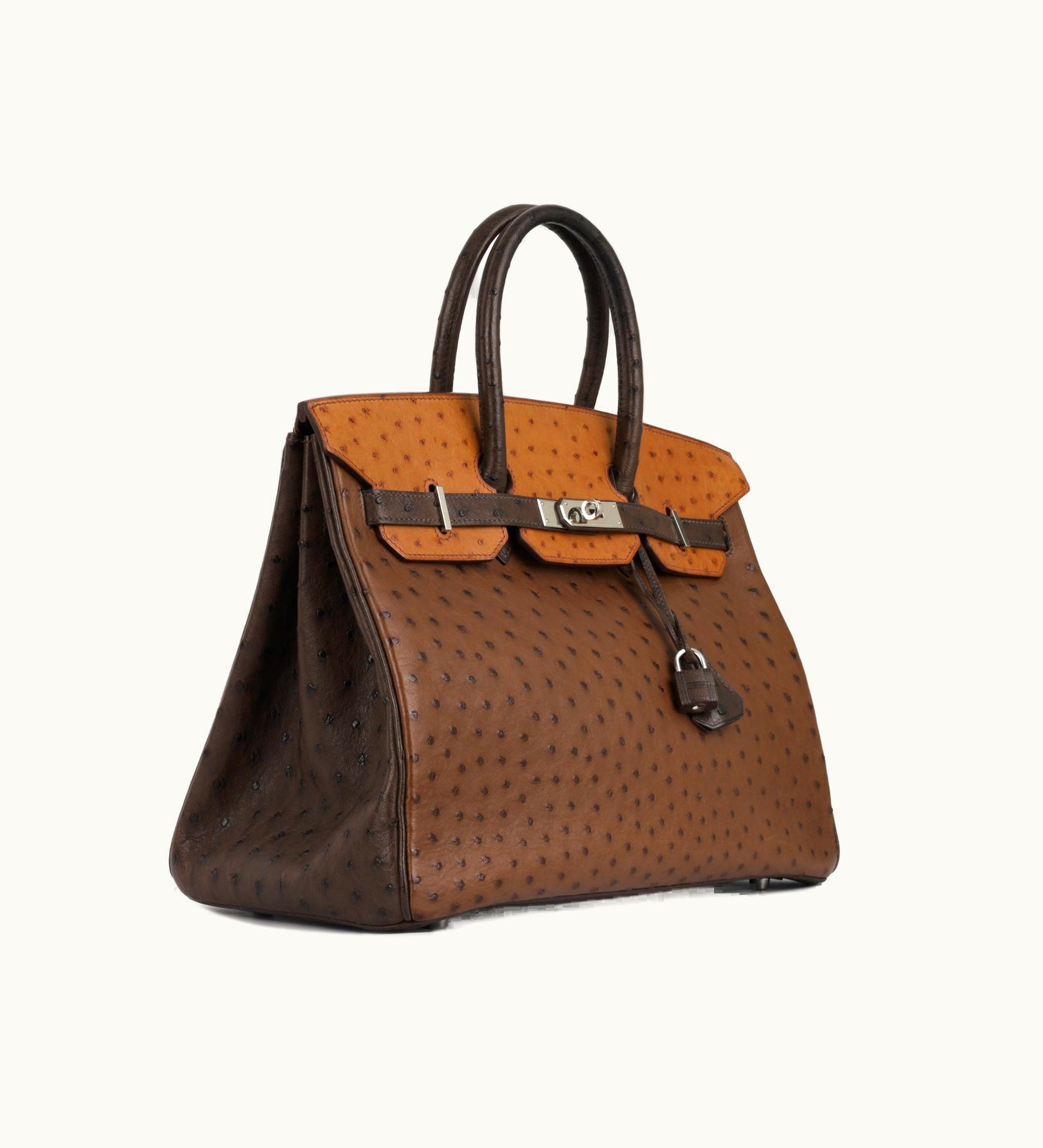 Hermès Hermès Birkin 25cm - Noisette - Epsom - Retourne - Palladium (PHW)