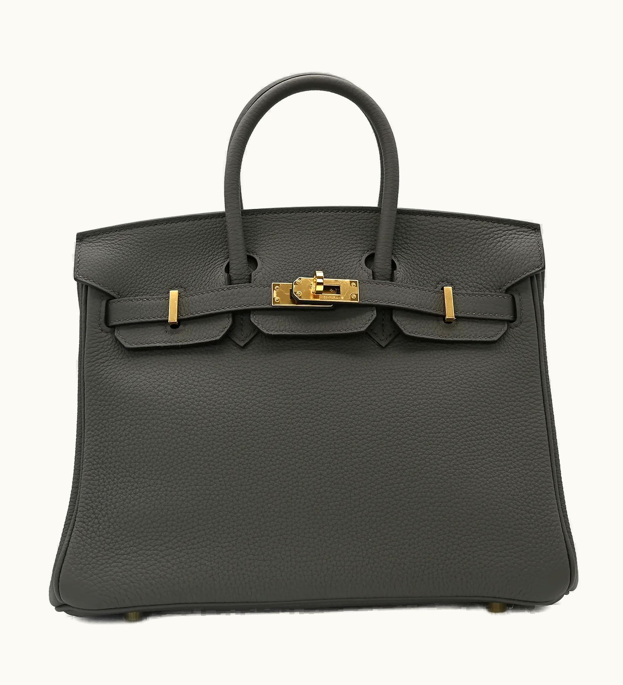 Hermès Hermès Birkin 25cm - Gris Meyer - Togo - Retourne - Gold (GHW)