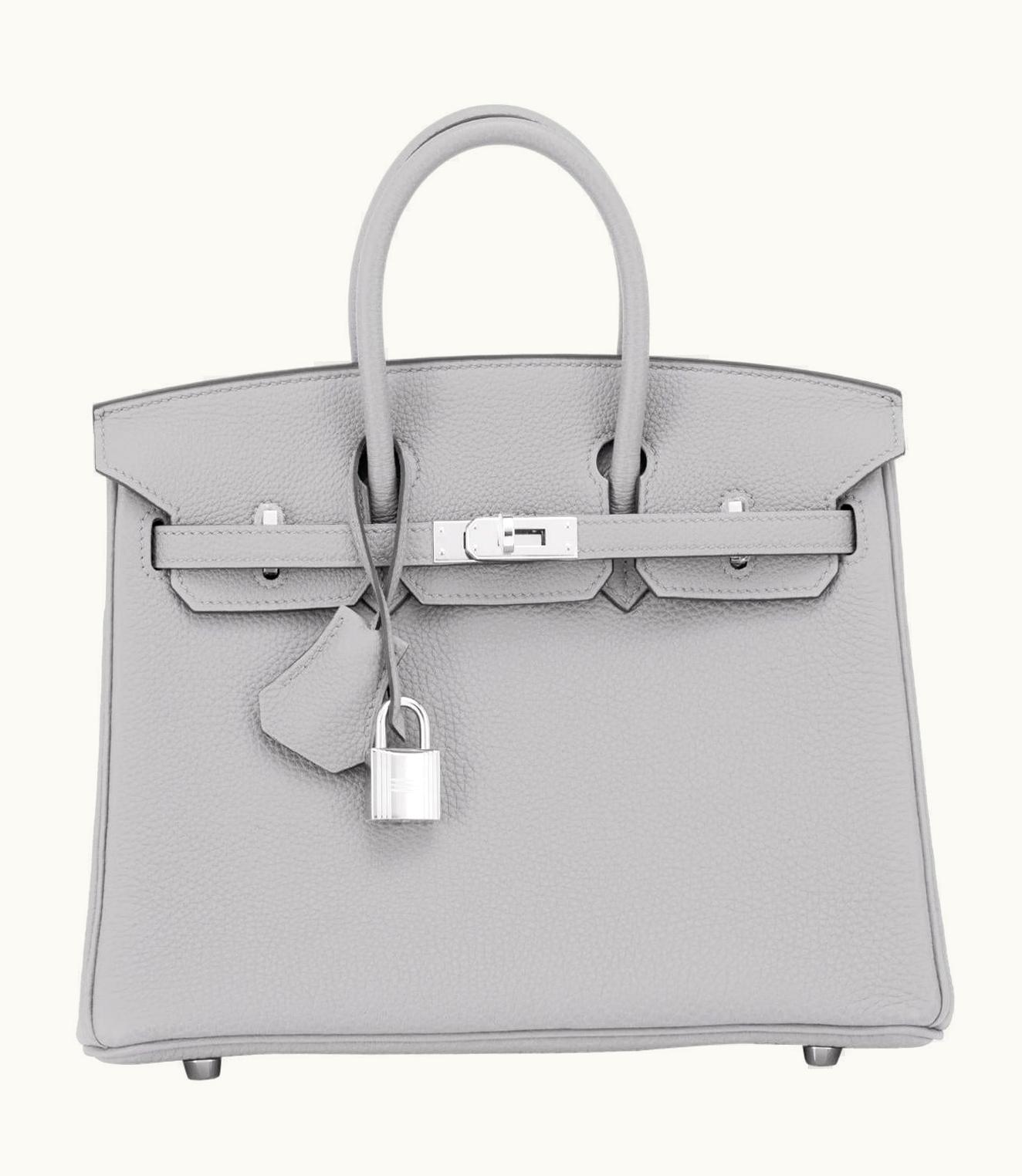 Hermès Hermès Birkin 25cm - Gris Mouette - Swift - Sellier - Palladium (PHW)