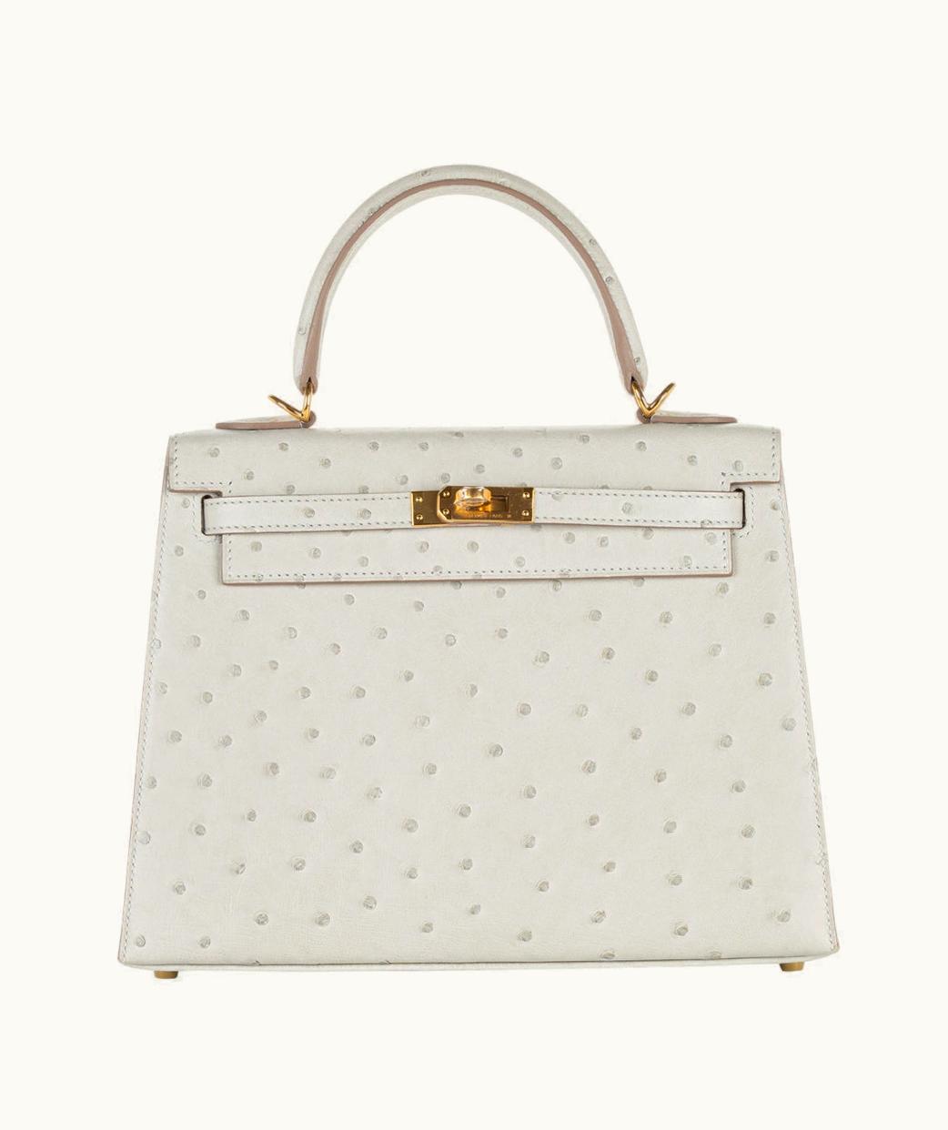Hermès Hermès Birkin 25cm - Gris Perle - Swift - Sellier - Gold (GHW)