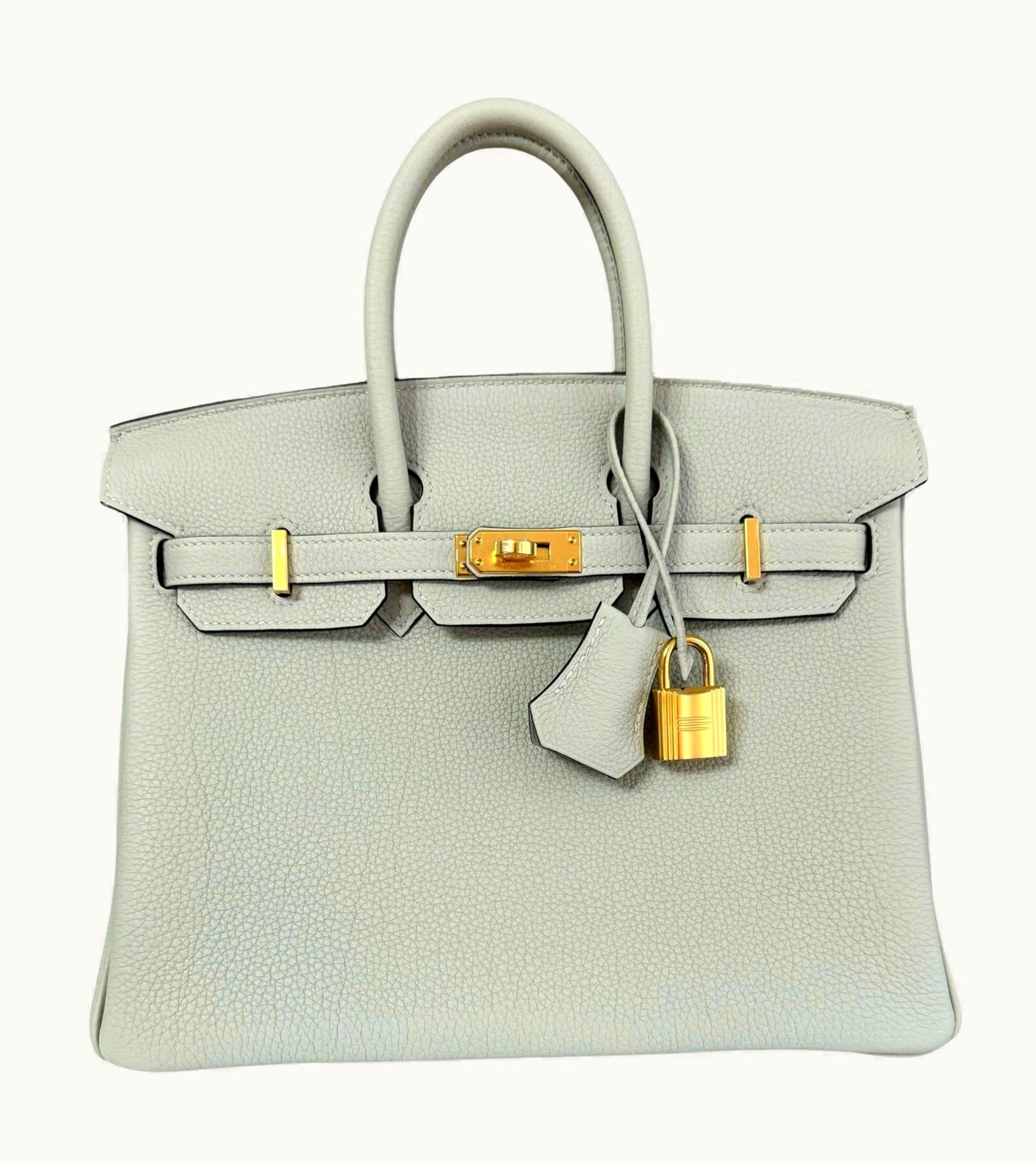 Hermès Hermès Birkin 25cm - Gris Tourterelle - Epsom - Sellier - Gold (GHW)