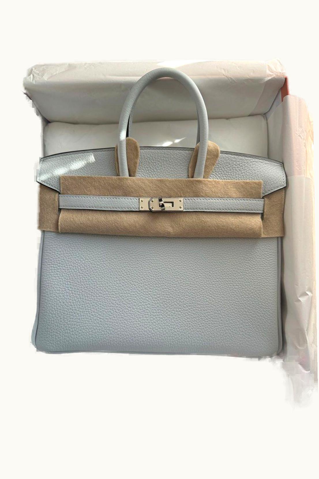 Hermès Hermès Birkin 25cm - Gris Platine - Epsom - Retourne - Palladium (PHW)