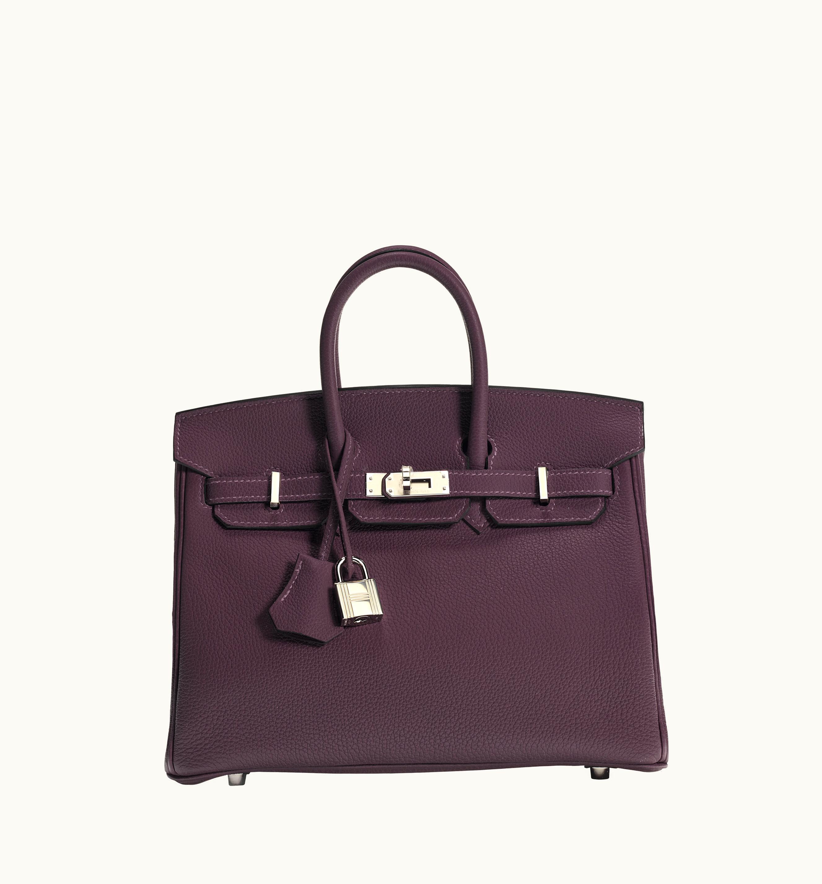Hermès Hermès Birkin 25cm - Cassis - Epsom - Sellier - Palladium (PHW)
