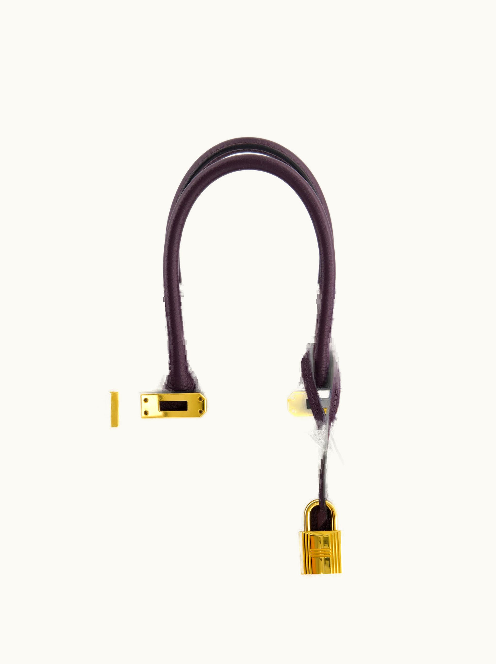 Hermès Hermès Birkin 25cm - Raisin - Clemence - Retourne - Gold (GHW)