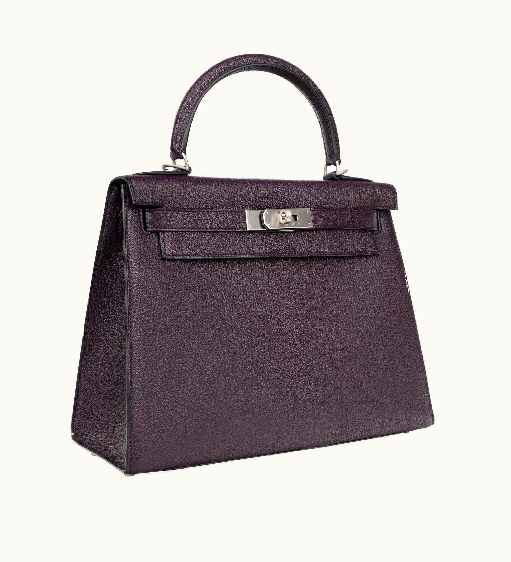 Hermès Hermès Birkin 25cm - Raisin - Togo - Sellier - Palladium (PHW)