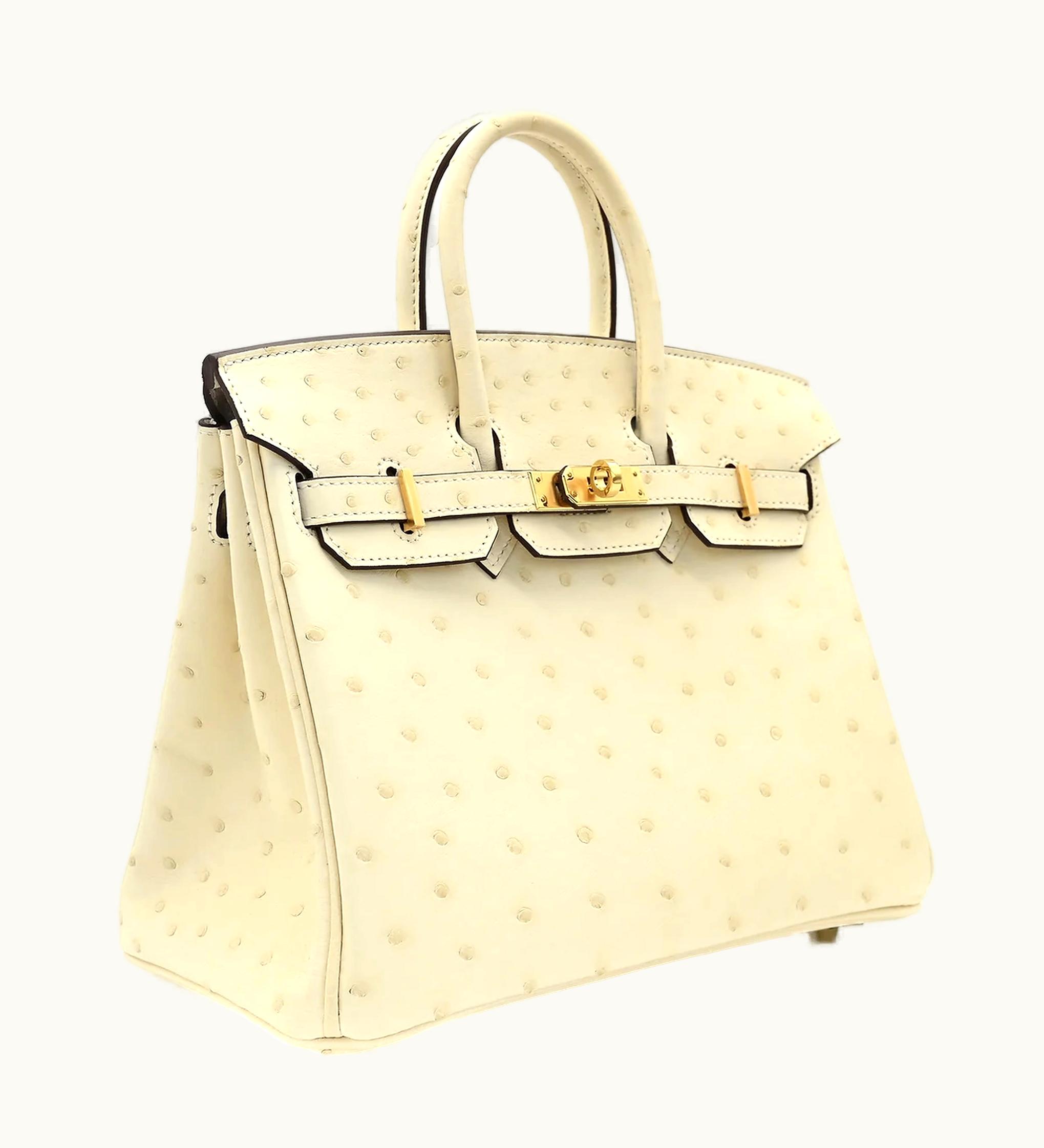 Hermès Hermès Birkin 25cm - Nata - Swift - Retourne - Gold (GHW)