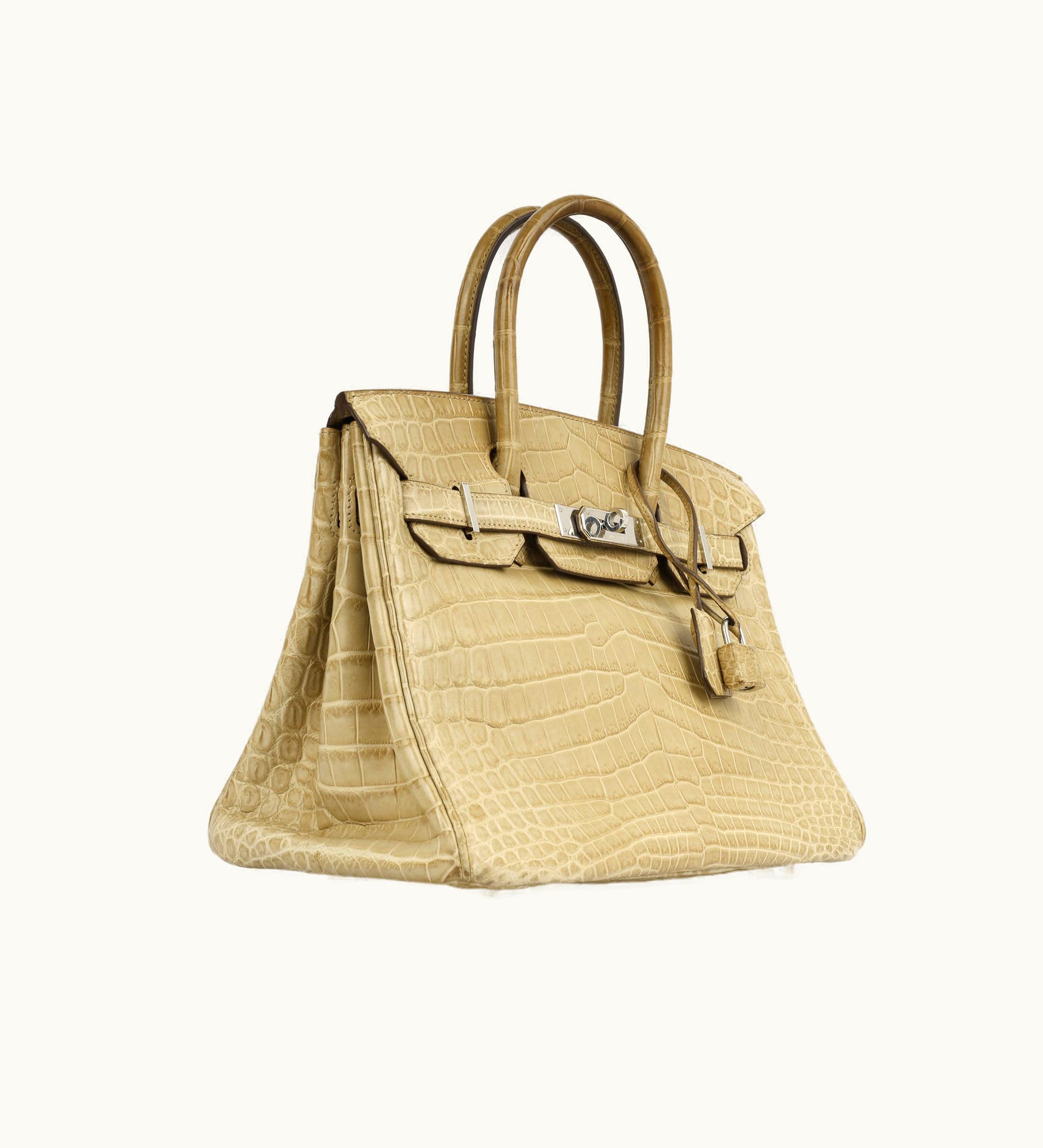 Hermès Hermès Birkin 30cm - Poussiere - Togo - Retourne - Palladium (PHW)