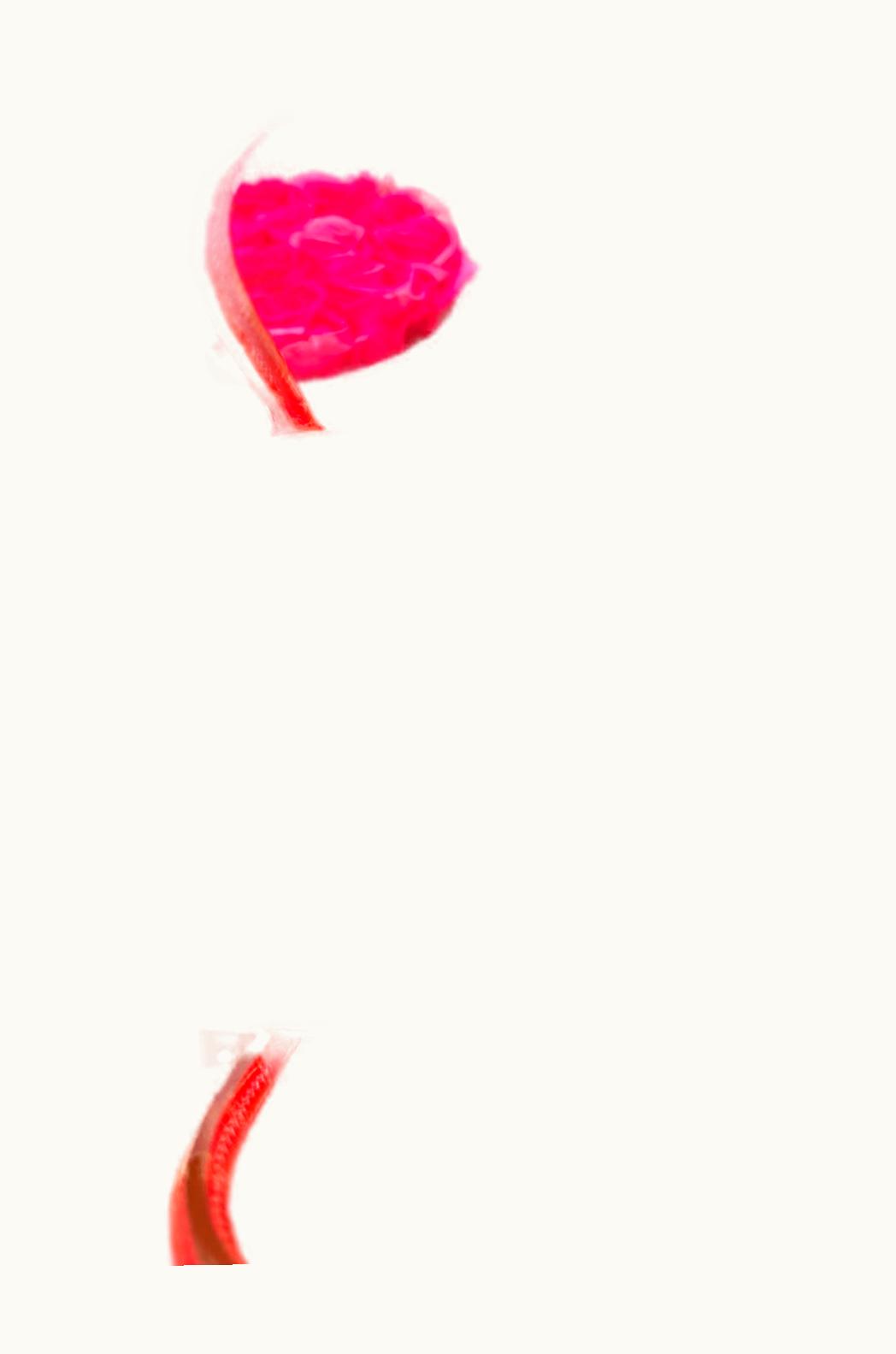 Hermès Hermès Birkin 40cm - Bougainvillea - Clemence - Sellier - Palladium (PHW)