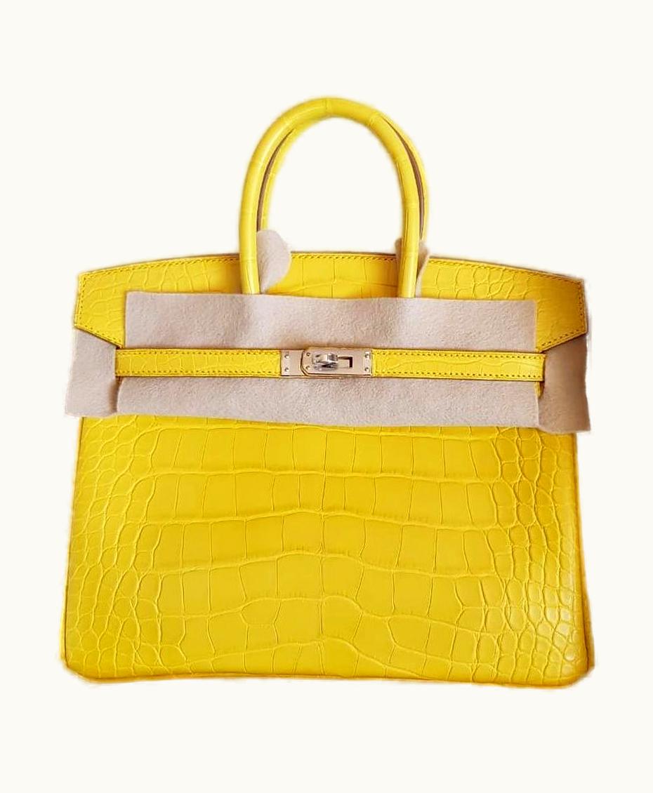 Hermès Hermès Birkin 40cm - Mimosa - Epsom - Sellier - Palladium (PHW)