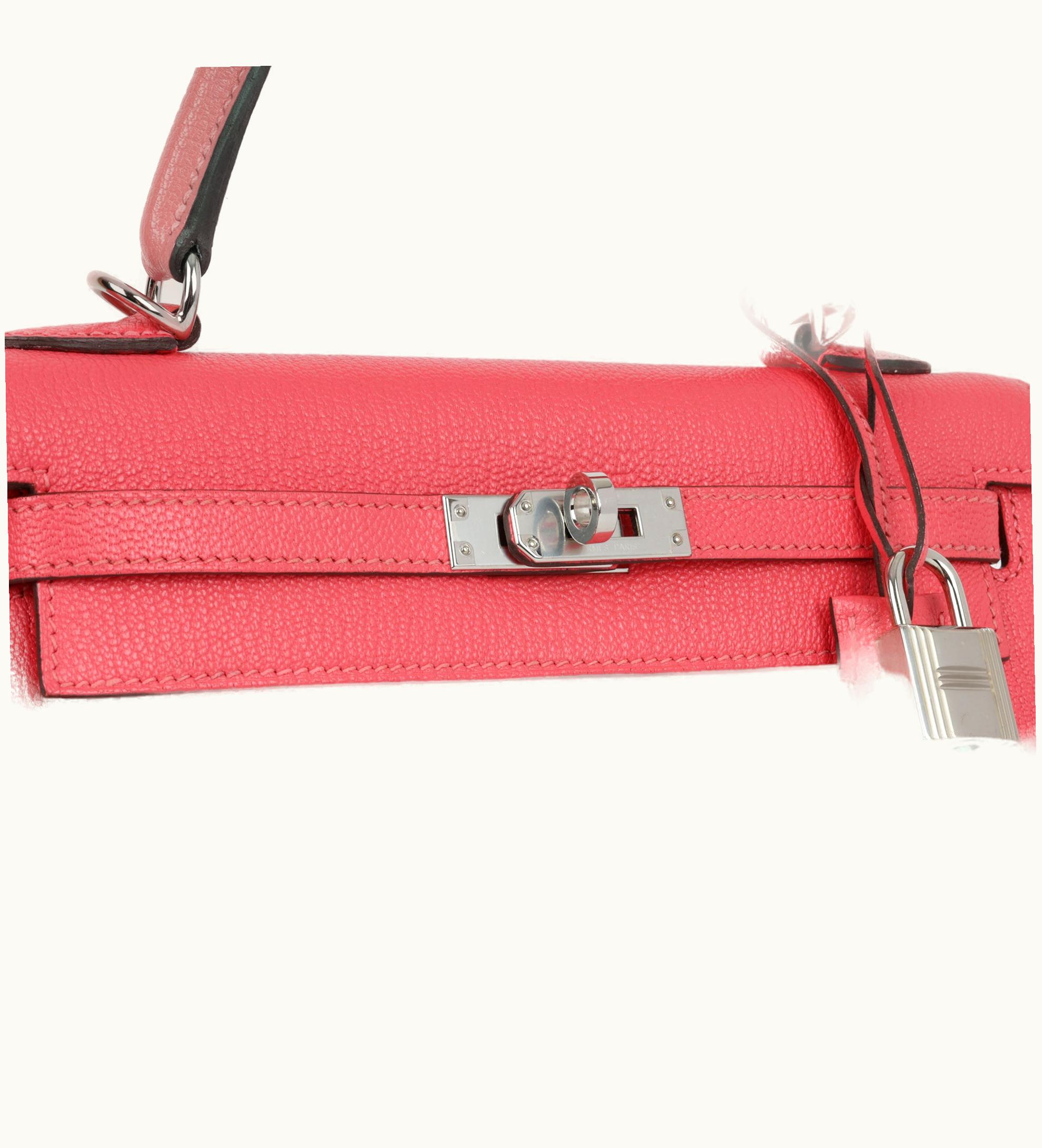 Hermès Hermès Birkin 42cm - Rose Lipstick - Clemence - Sellier - Palladium (PHW)