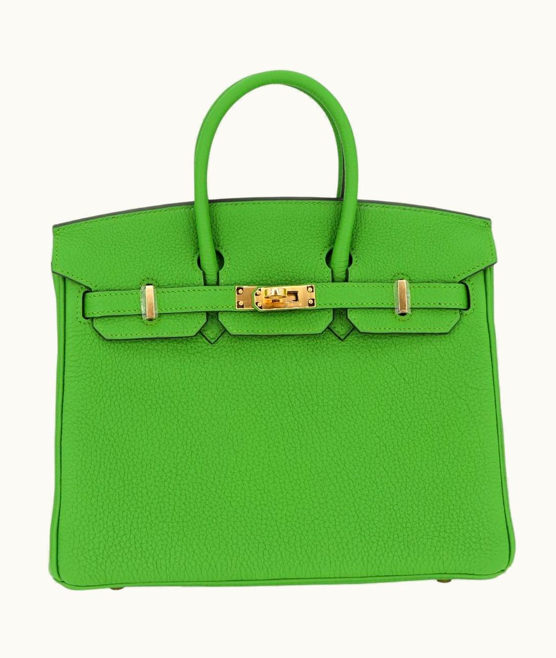 Hermès Hermès Kelly 25cm - Vert Yucca - Clemence - Sellier - Gold (GHW)