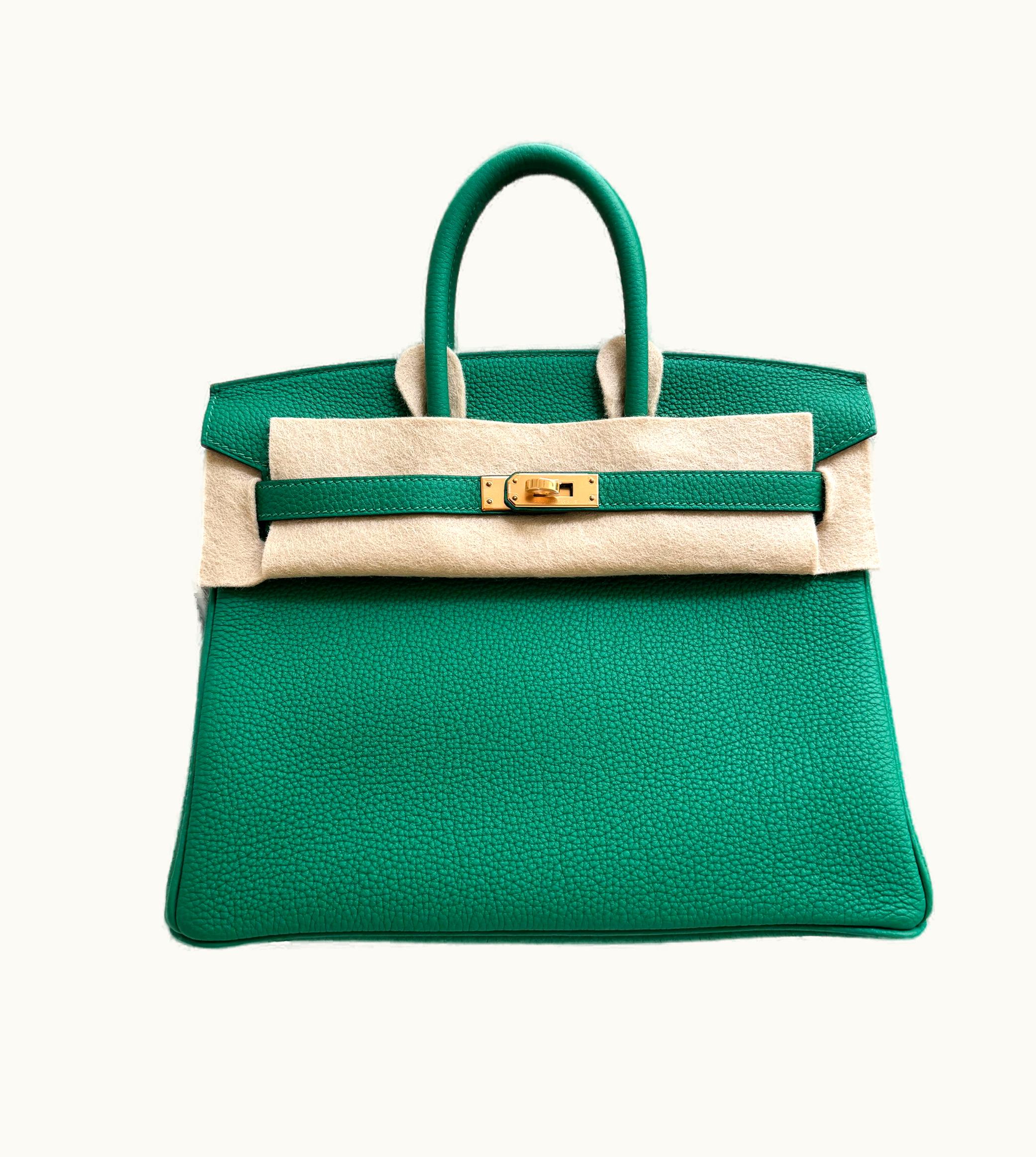Hermès Hermès Constance Elan 25 - Vert Vertigo - Epsom - Gold (GHW)