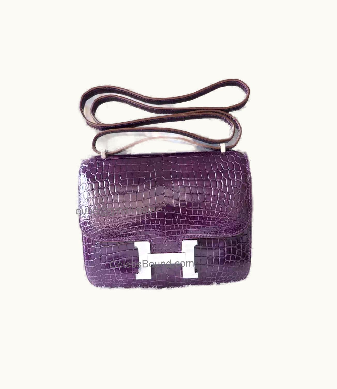 Hermès Hermès Constance Elan 25 - Amethyst - Epsom - Palladium (PHW)
