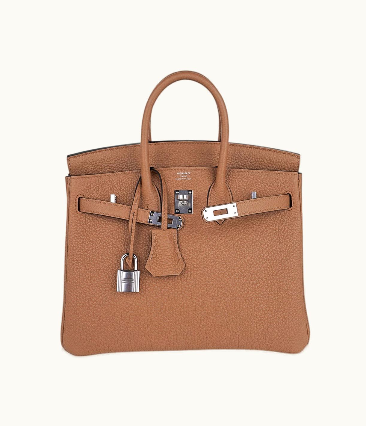 Hermès Hermès Constance Elan 25 - Chai - Epsom - Palladium (PHW)