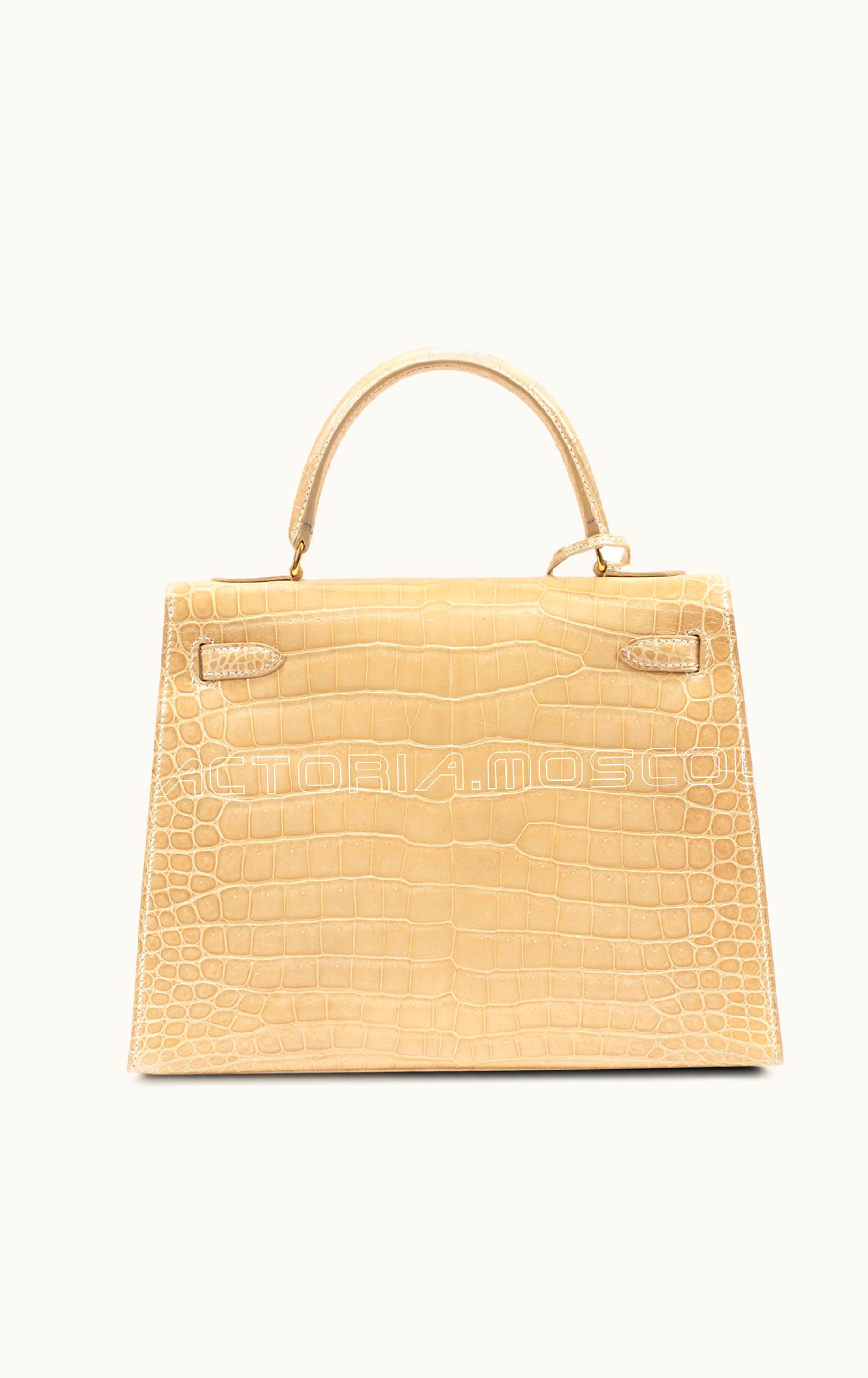 Hermès Hermès Constance Elan 25 - Poussiere - Swift - Gold (GHW)