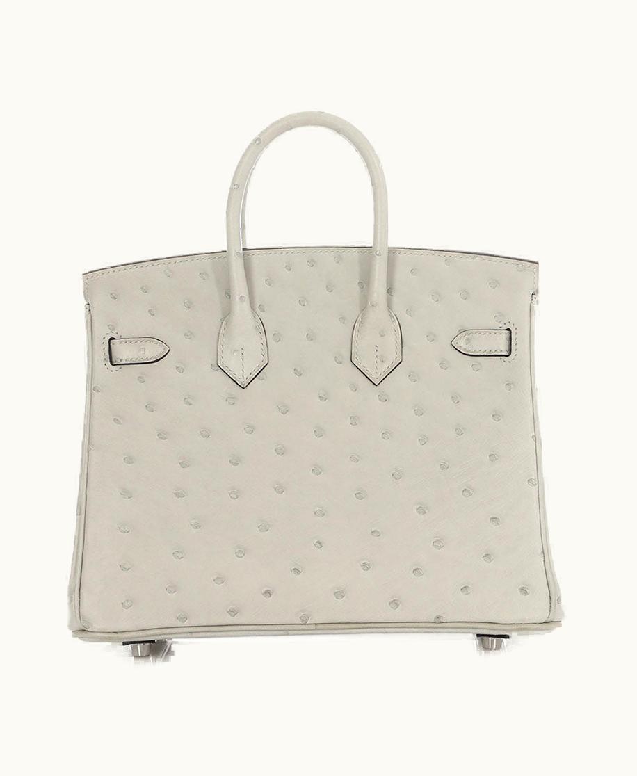 Hermès Hermès Birkin 25cm - Gris Perle Ostrich - Verso