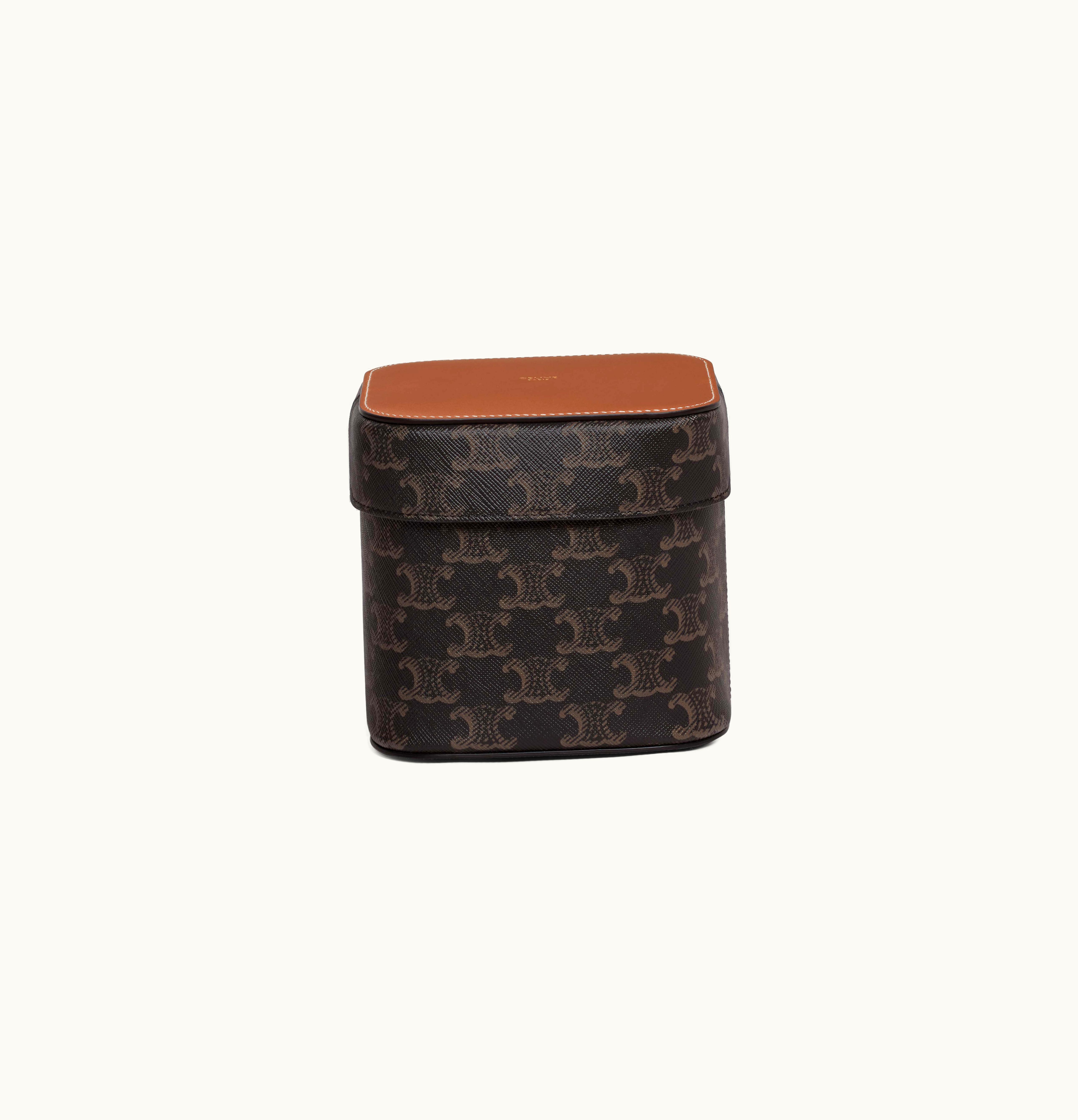 Celine Celine Medium Box In Triomphe Canvas And Calfskin Tan